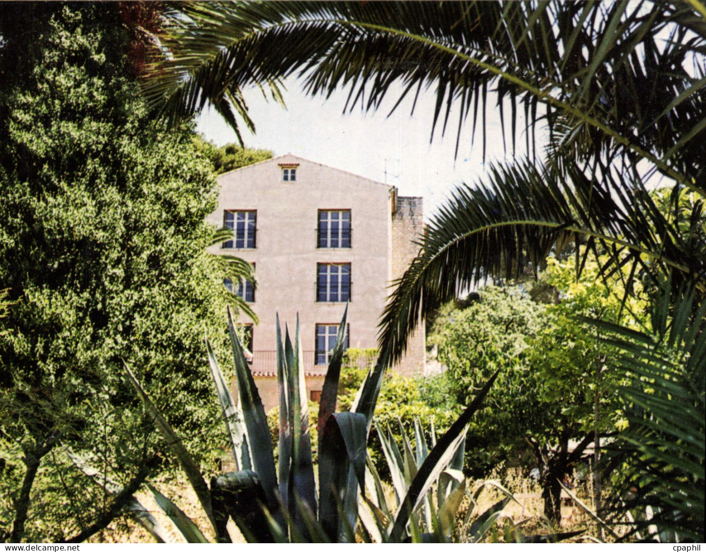 CPM La Rose de Noel Centre de Convalescence specialise Carqueiranne