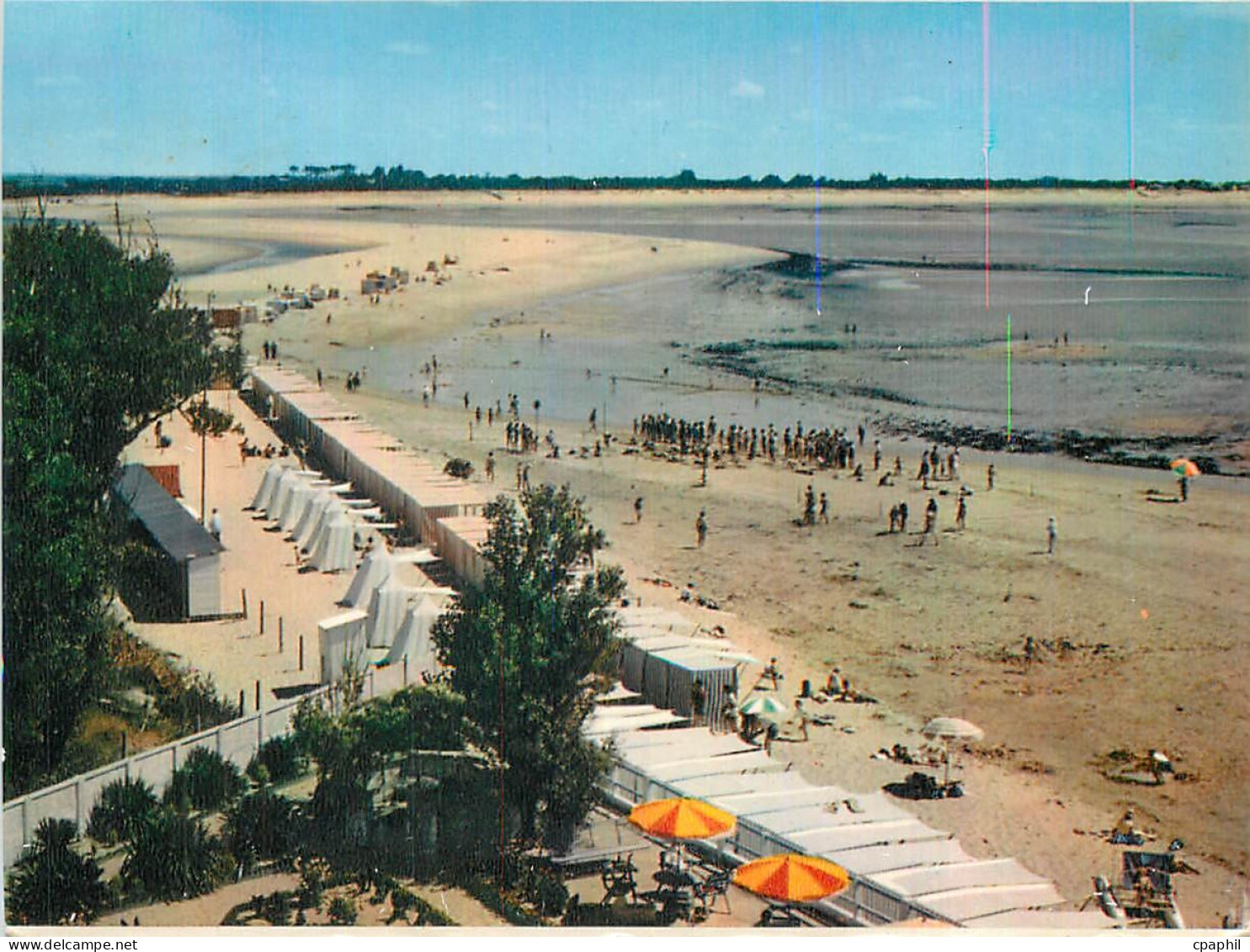 CPM La Tranche Sur Mer au Fond La Plage de la Griere