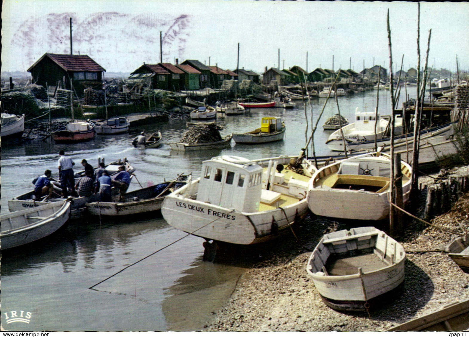 CPM La Tremblade Charente Maritime Le Port Bateaux de peche