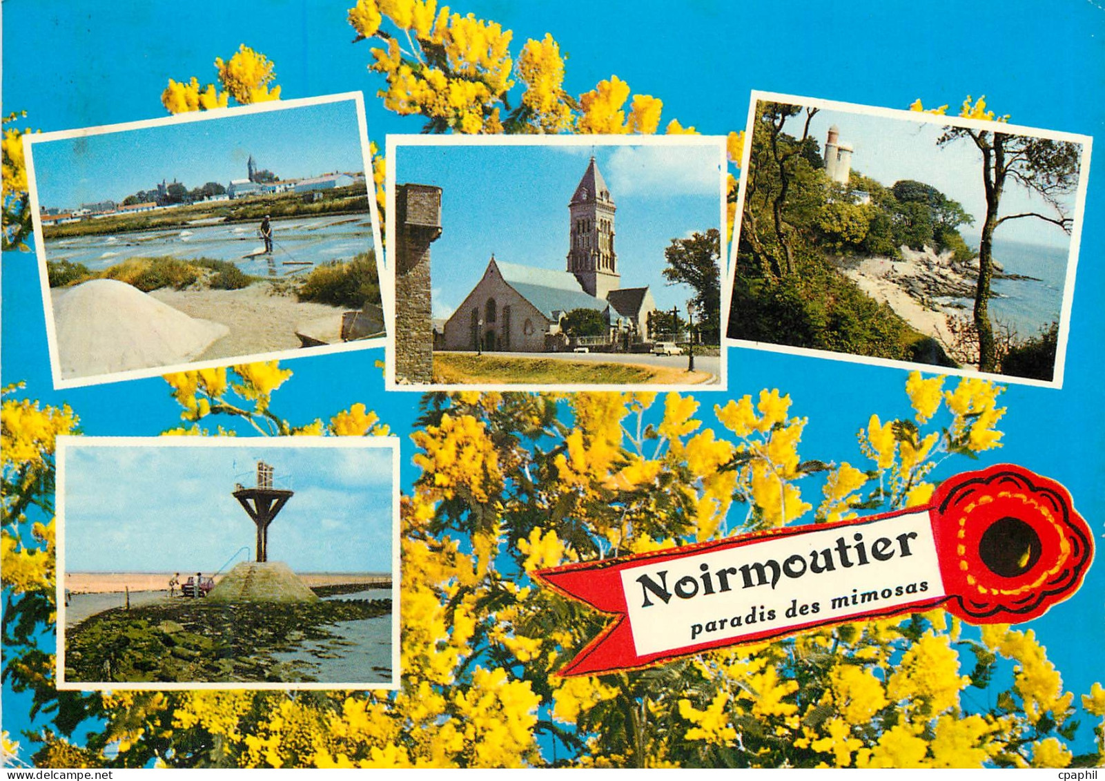 CPM La Vendee Pittoresque Ile de Noirmoutier Vue de l'Ile des Mimosas