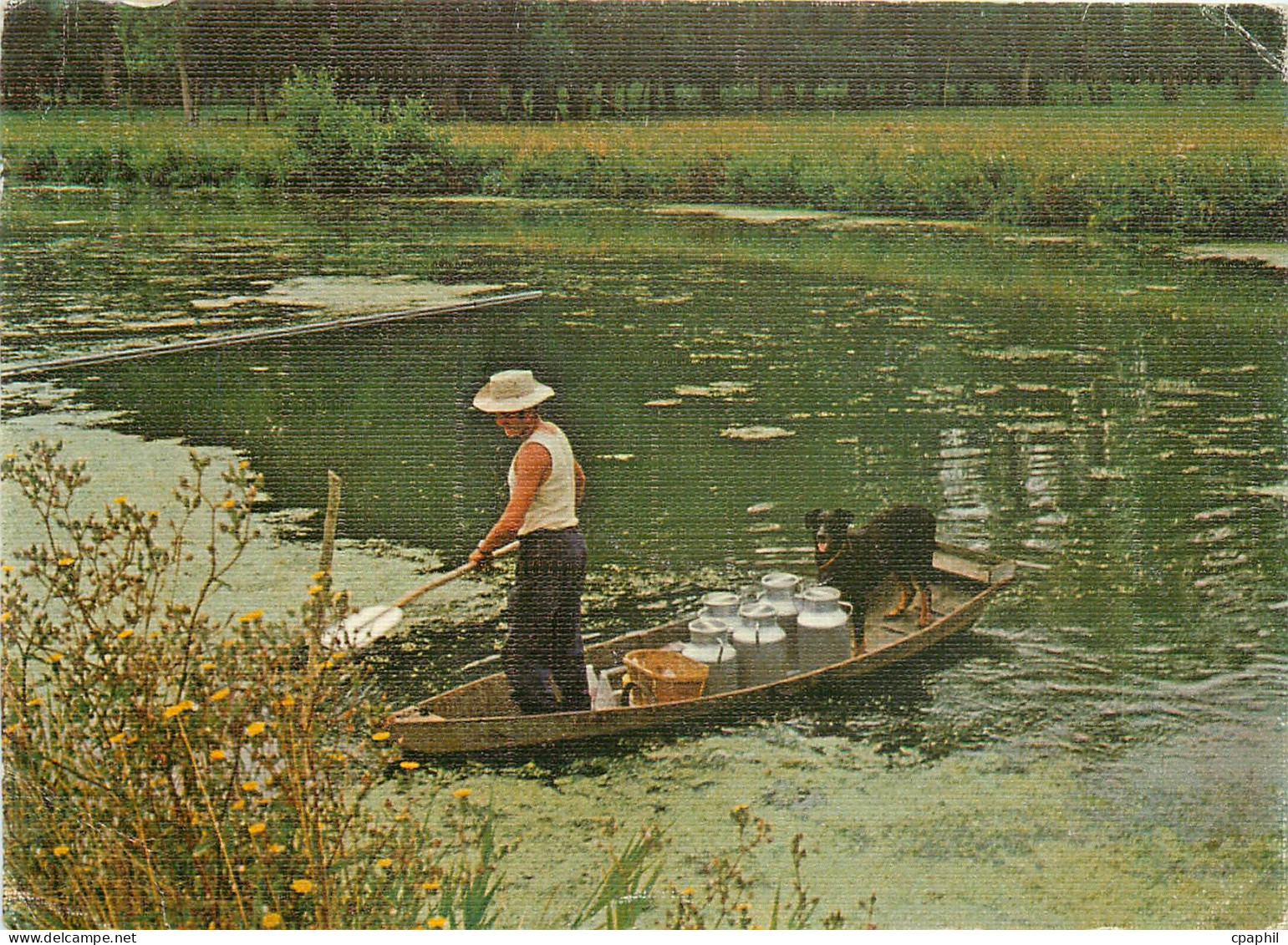 CPM La Venise Verte Deux Sevres La Sevre Transport de Lait