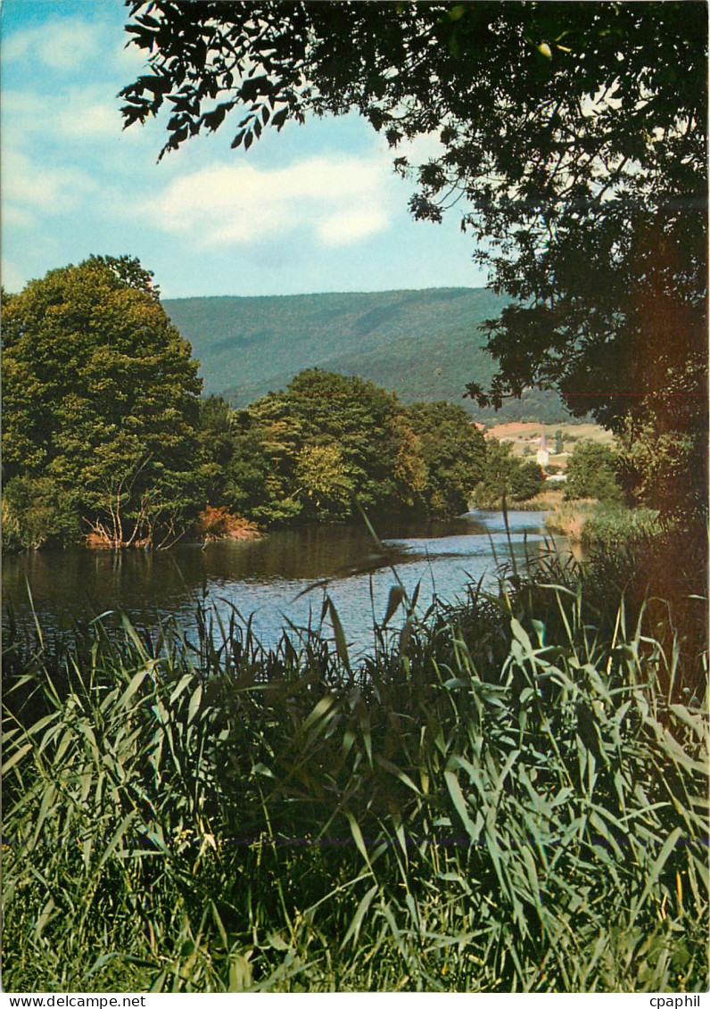 CPM La Vieille Thielle Biotope a sauvegarder