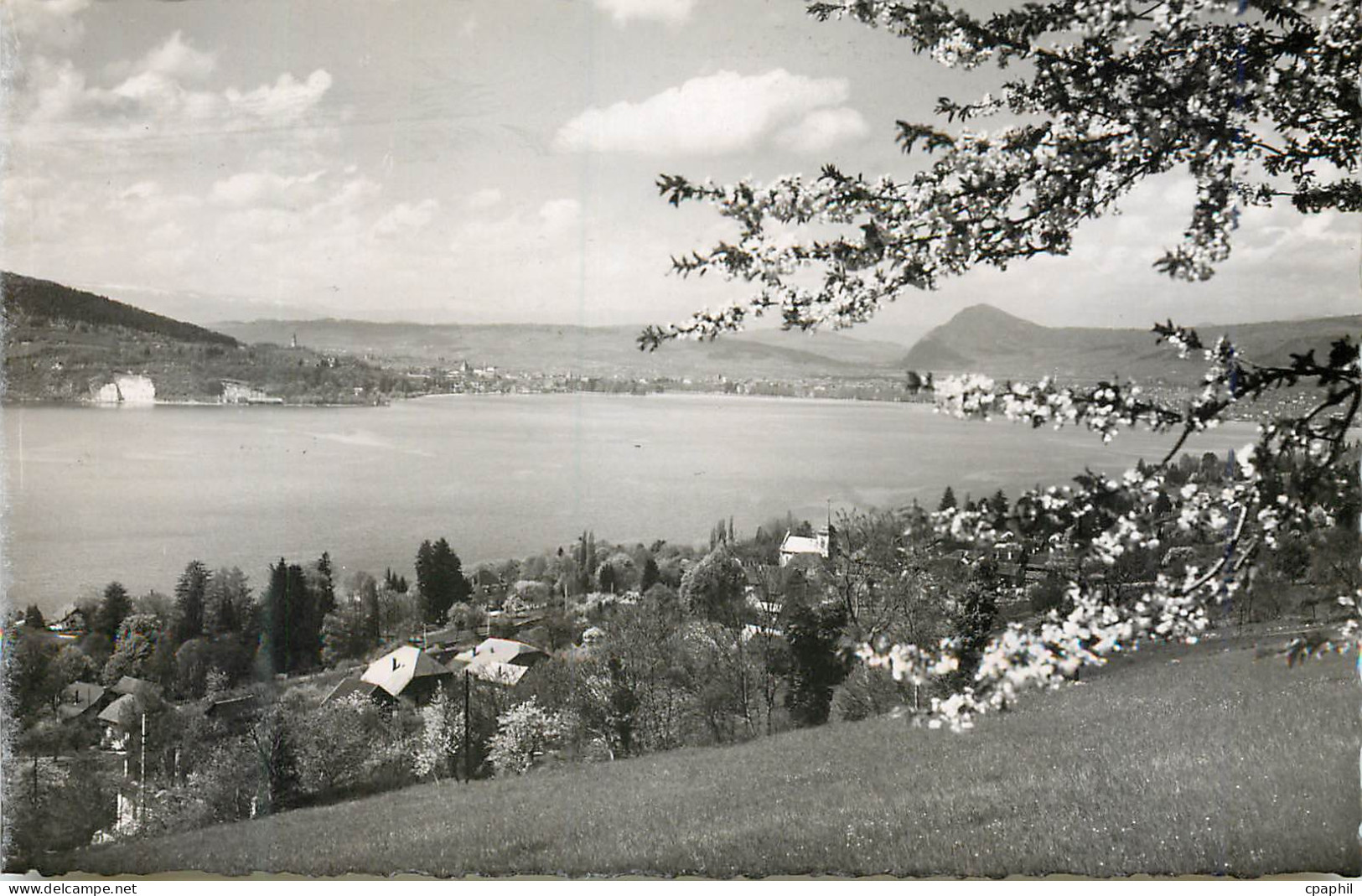 CPM Lac d'Annecy Veyrier Vue Generale