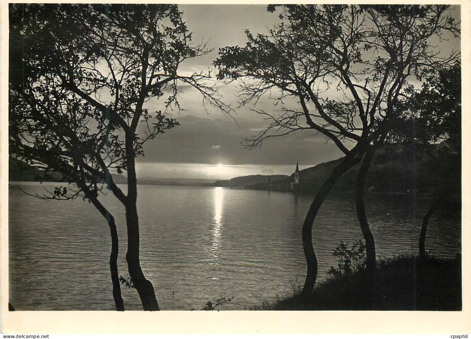 CPM Lac de Constance Coucher du soleil