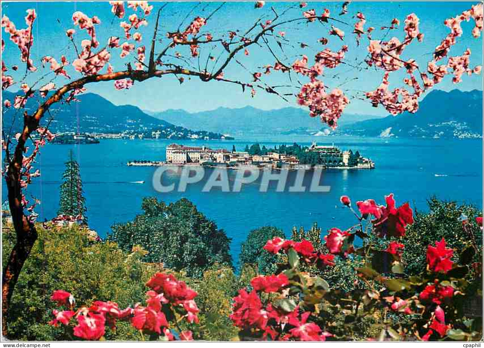 CPM Lac Majeur Isola Bella