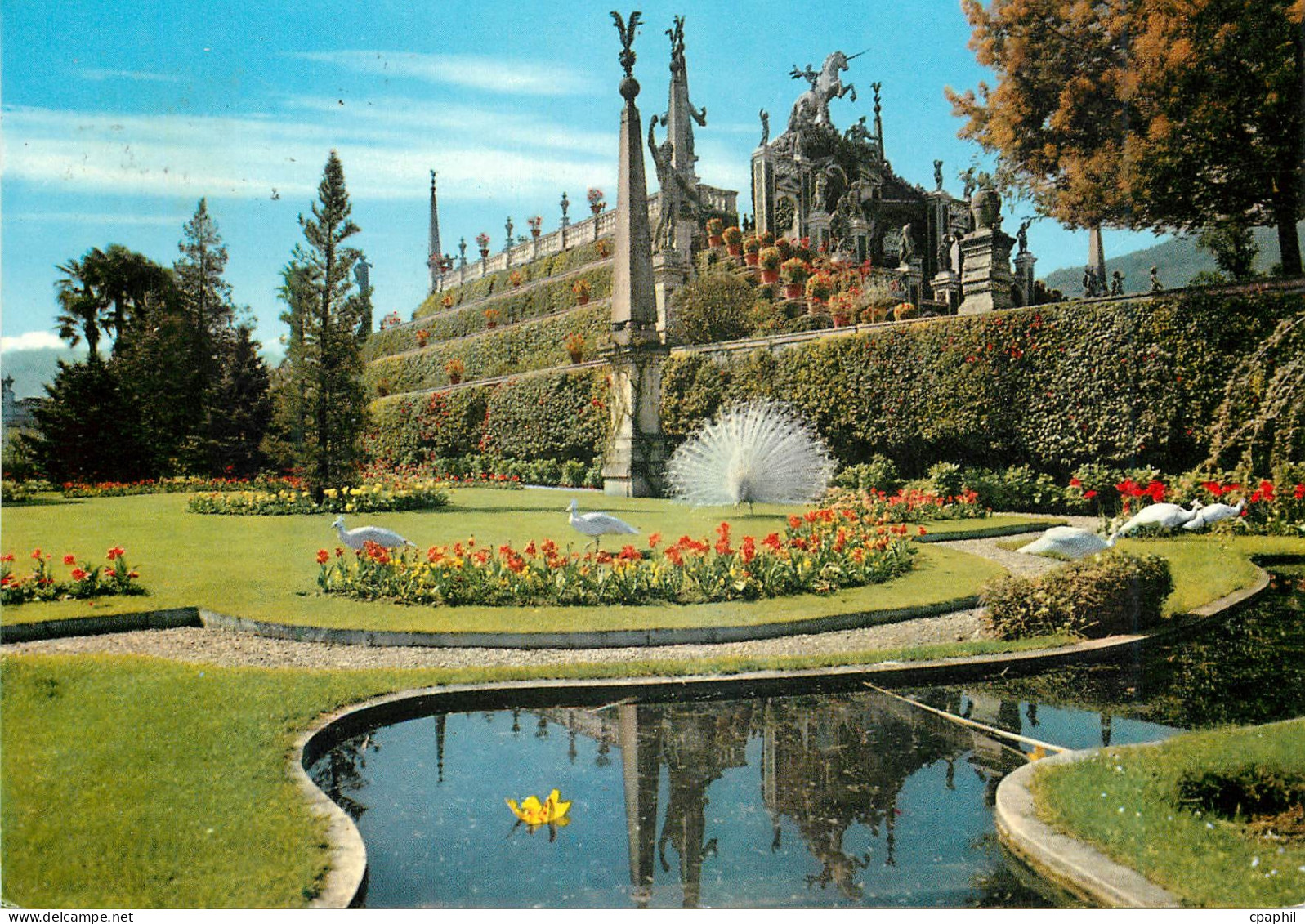 CPM Lac majeur isola bella jardins et terrasses