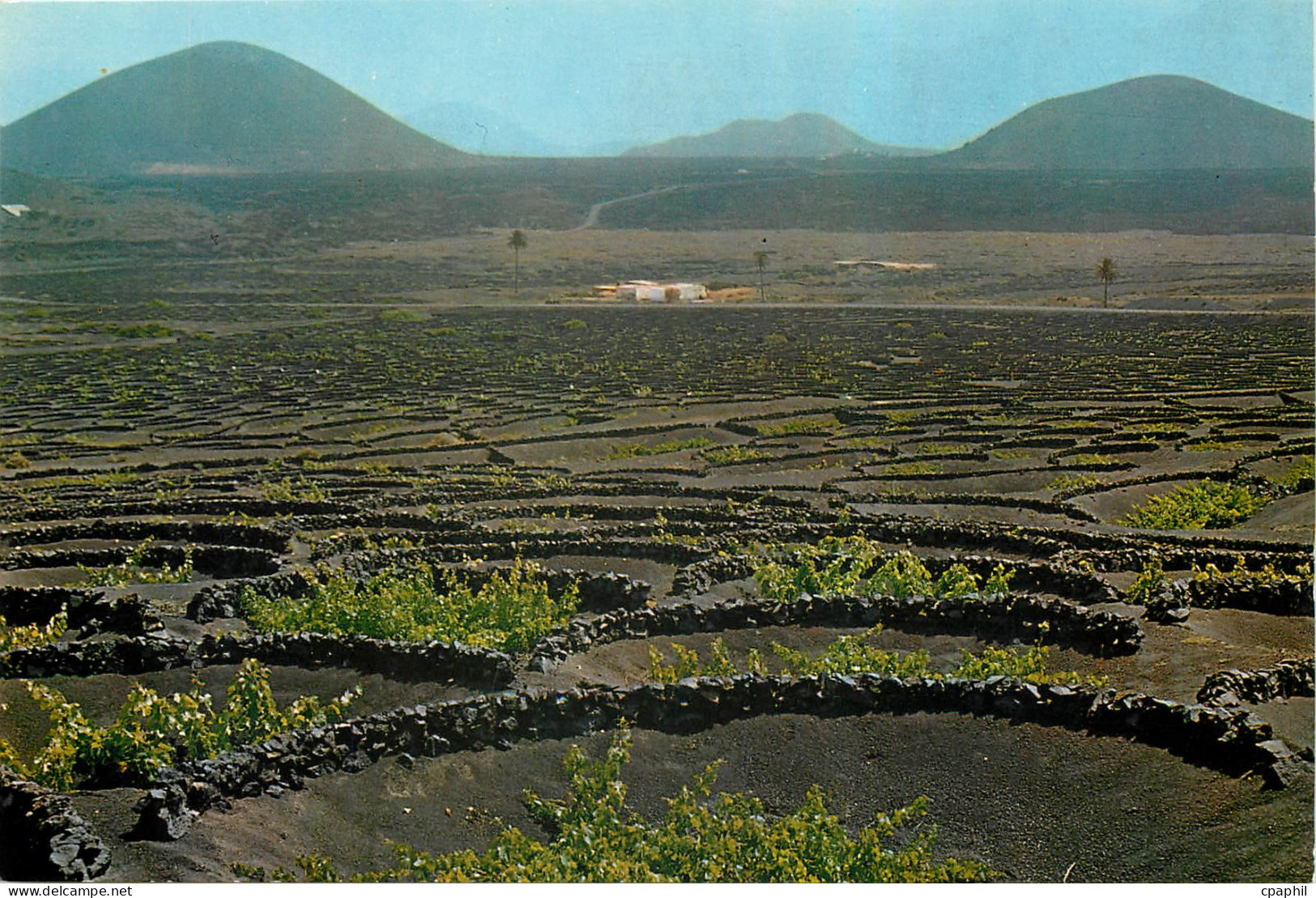 CPM Lanzarote La Geria