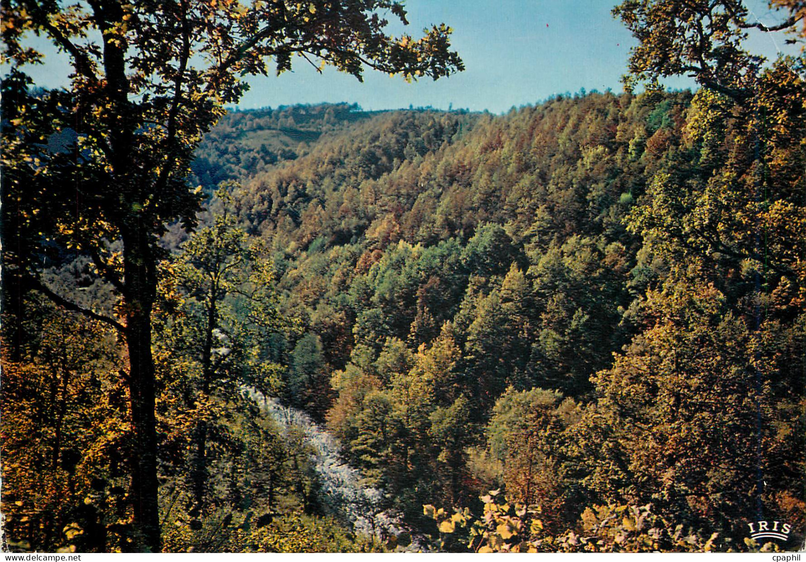 CPM Le Cantal Pittoresque les Gorges de la Cere en Automne
