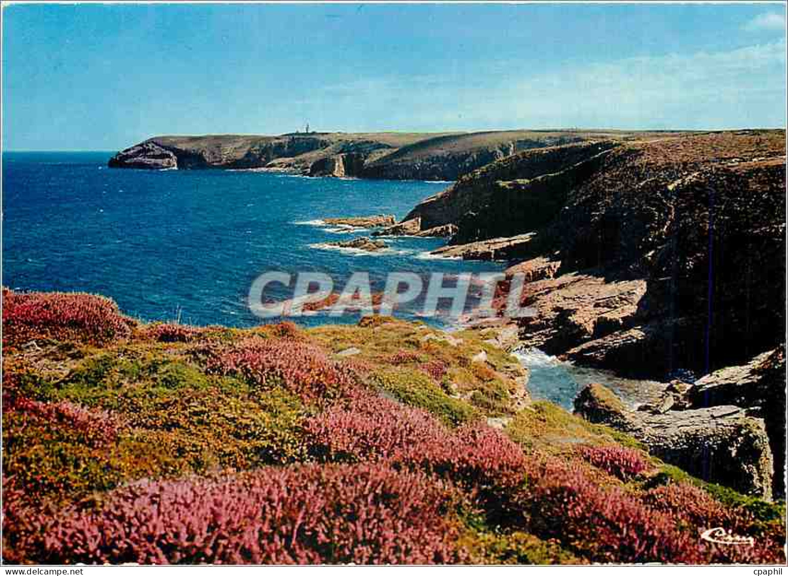CPM Le Cap Frehel (Cote d'Armor) Falaises du Cap
