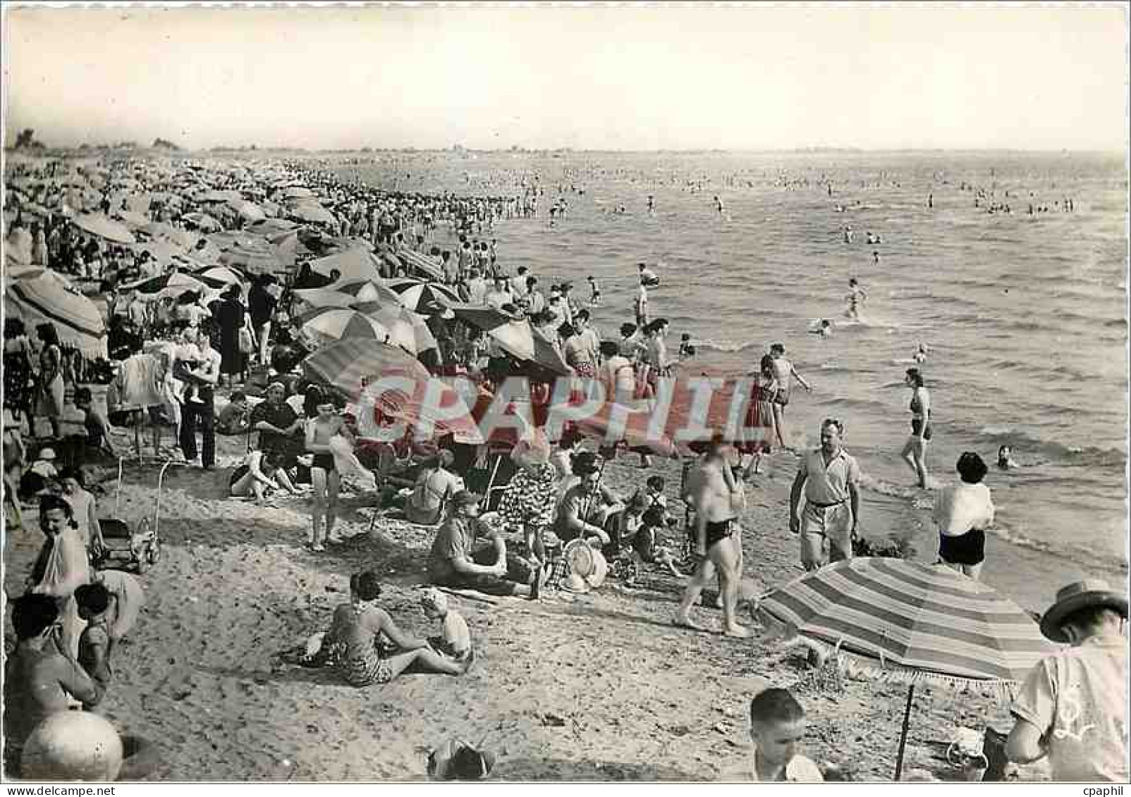 CPM Le Grau du Roi Gard La Grande Plage