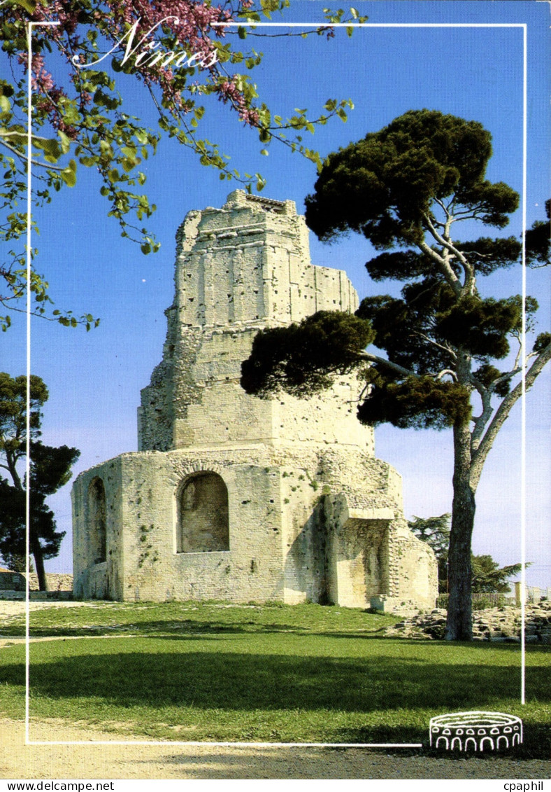 CPM Le Languedoc Nimes la tour Magne