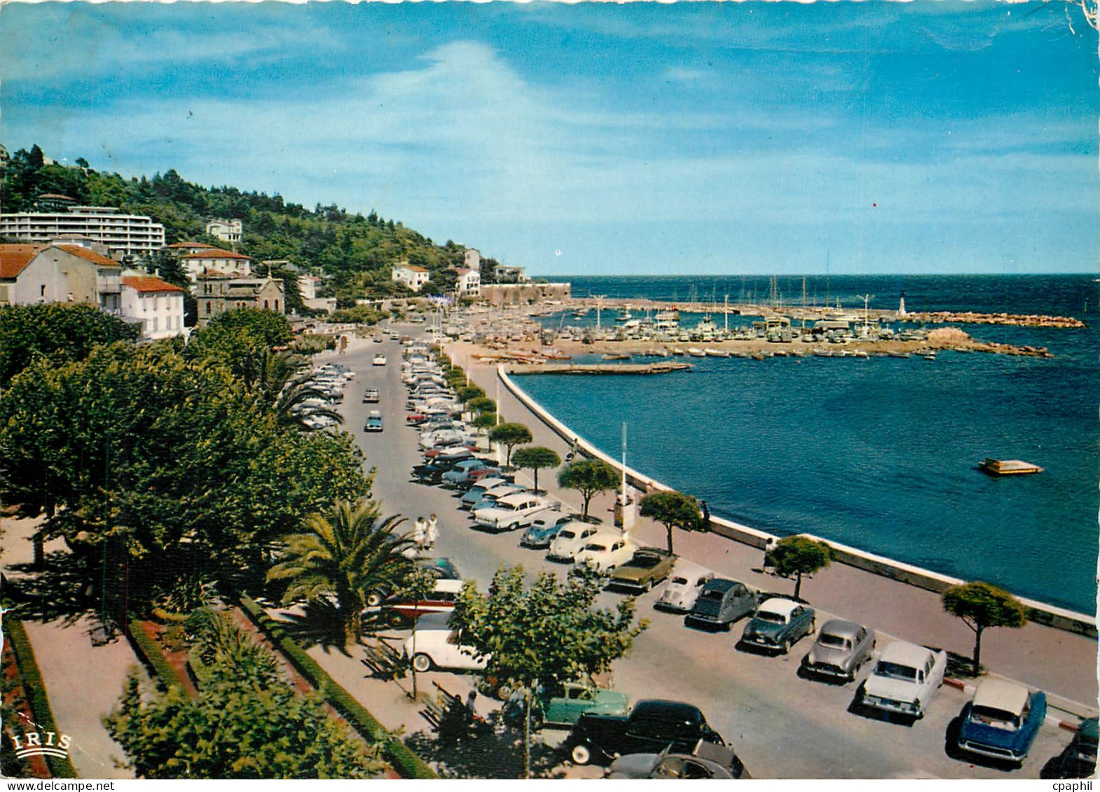 CPM Le Lavandou Var Les Terrasses et le Port