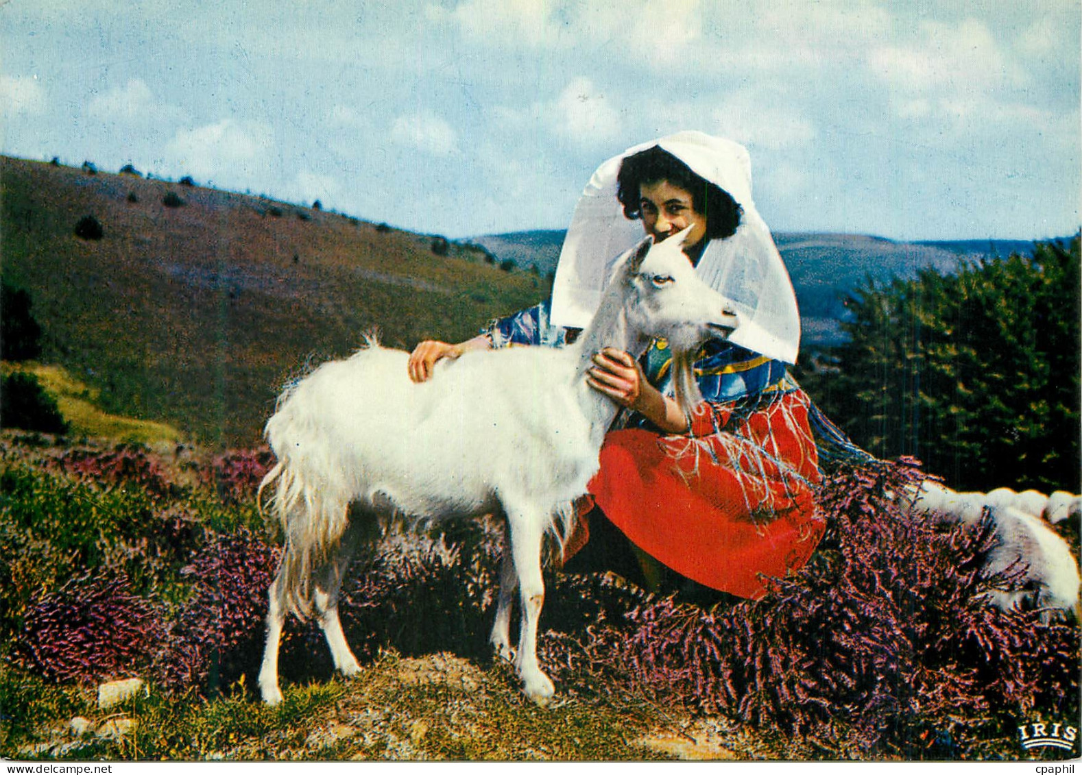 CPM Le Limousin Touristique Les Monedieres Chevre