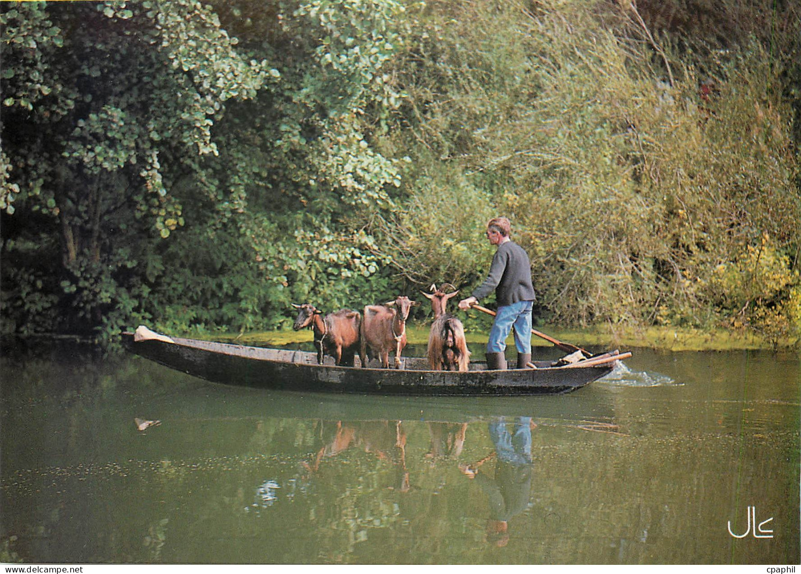 CPM Le Marais Poitevin Transport d'animaux Chevre