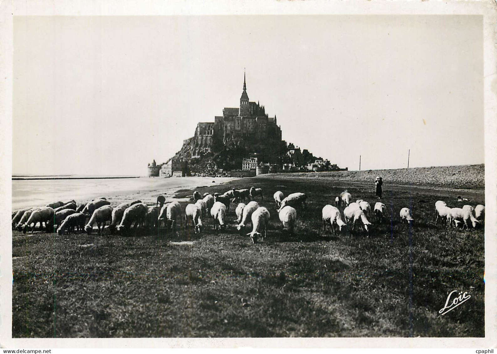 CPM Le Mont Saint Michel Moutons
