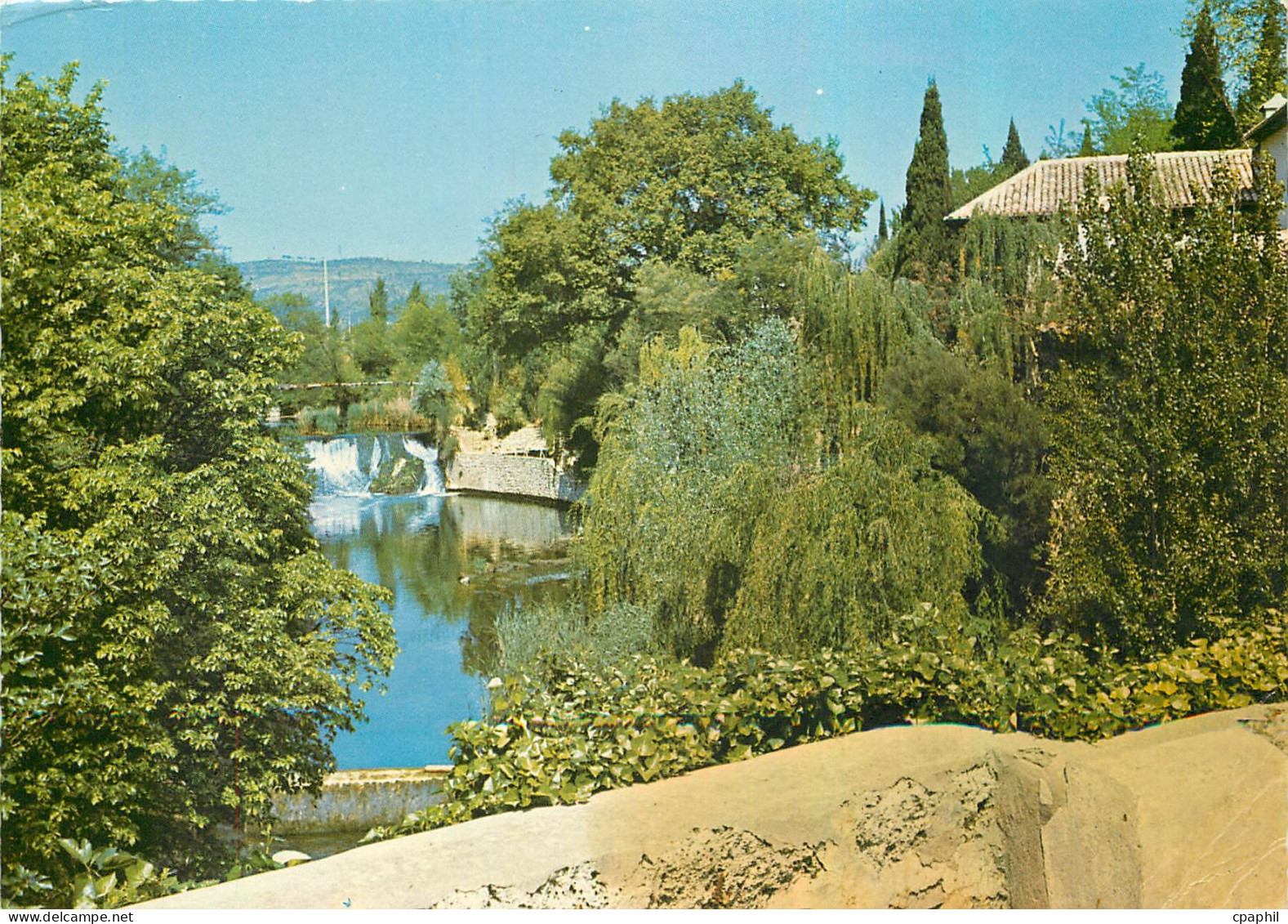 CPM Le Muy (Var) Le veux moulin (Site classe)