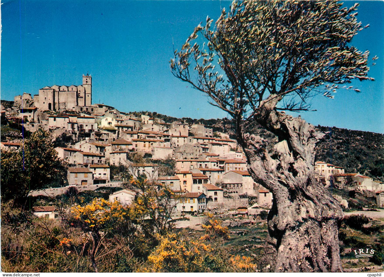 CPM Le Roussillon Aux environs de Prades Le village d'Eus domine par l'Eglise Saint Vincent