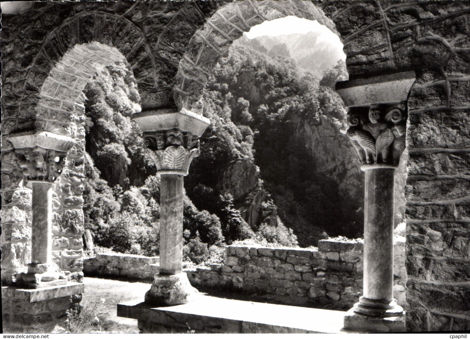 CPM Le Roussillon L'Abbaye de Saint Martin du Canigou Le Cloitre