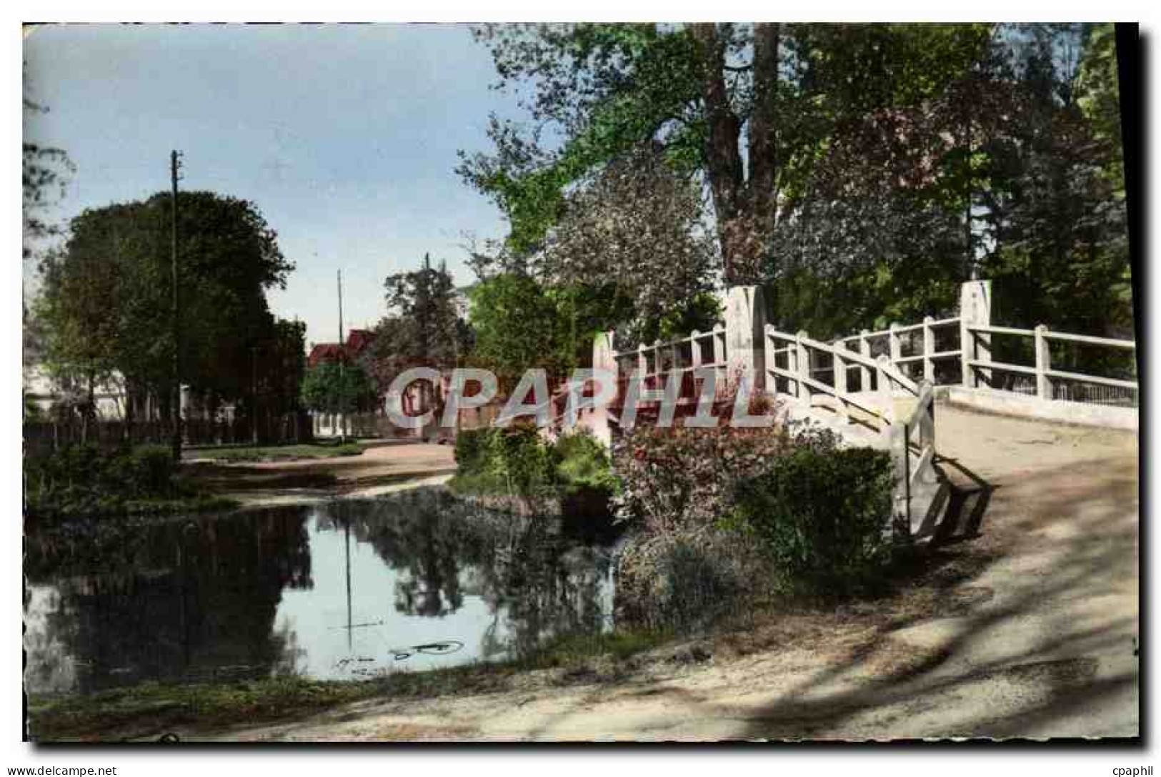 CPM Le Vesinet Bord Du Lac Des lbis Le Pont