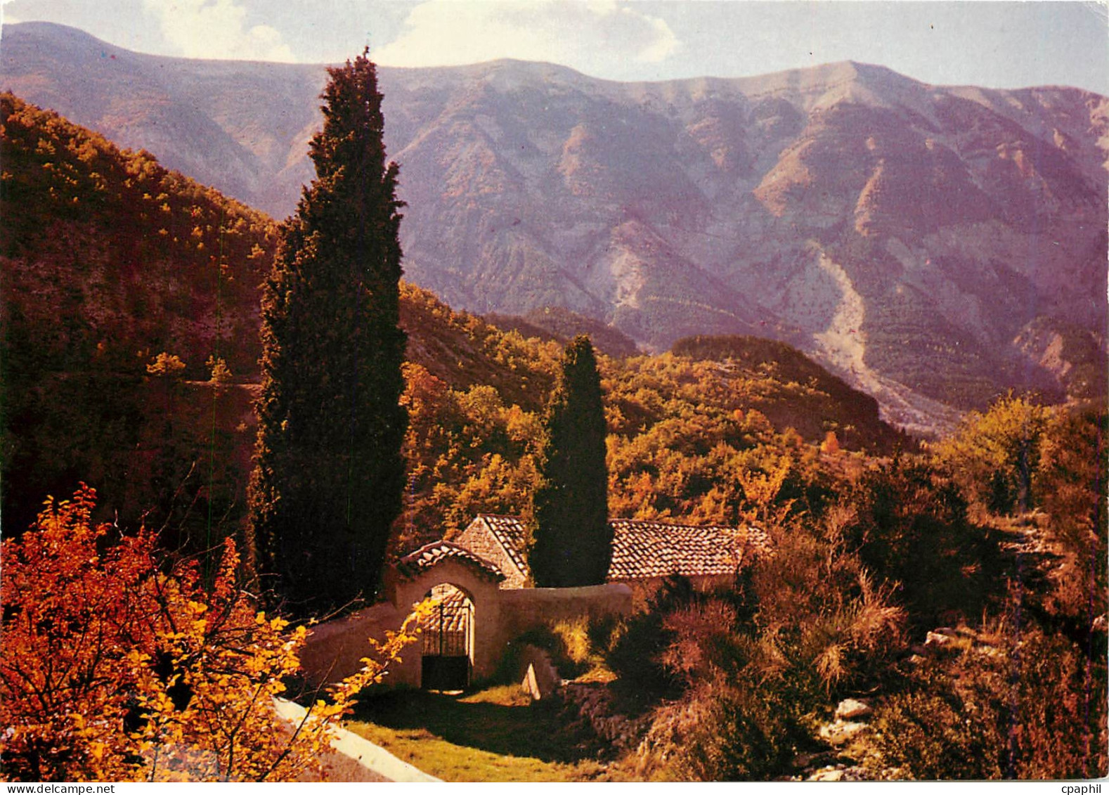 CPM Les Belles Couleurs de Provence Un coin pittoresque de Provence
