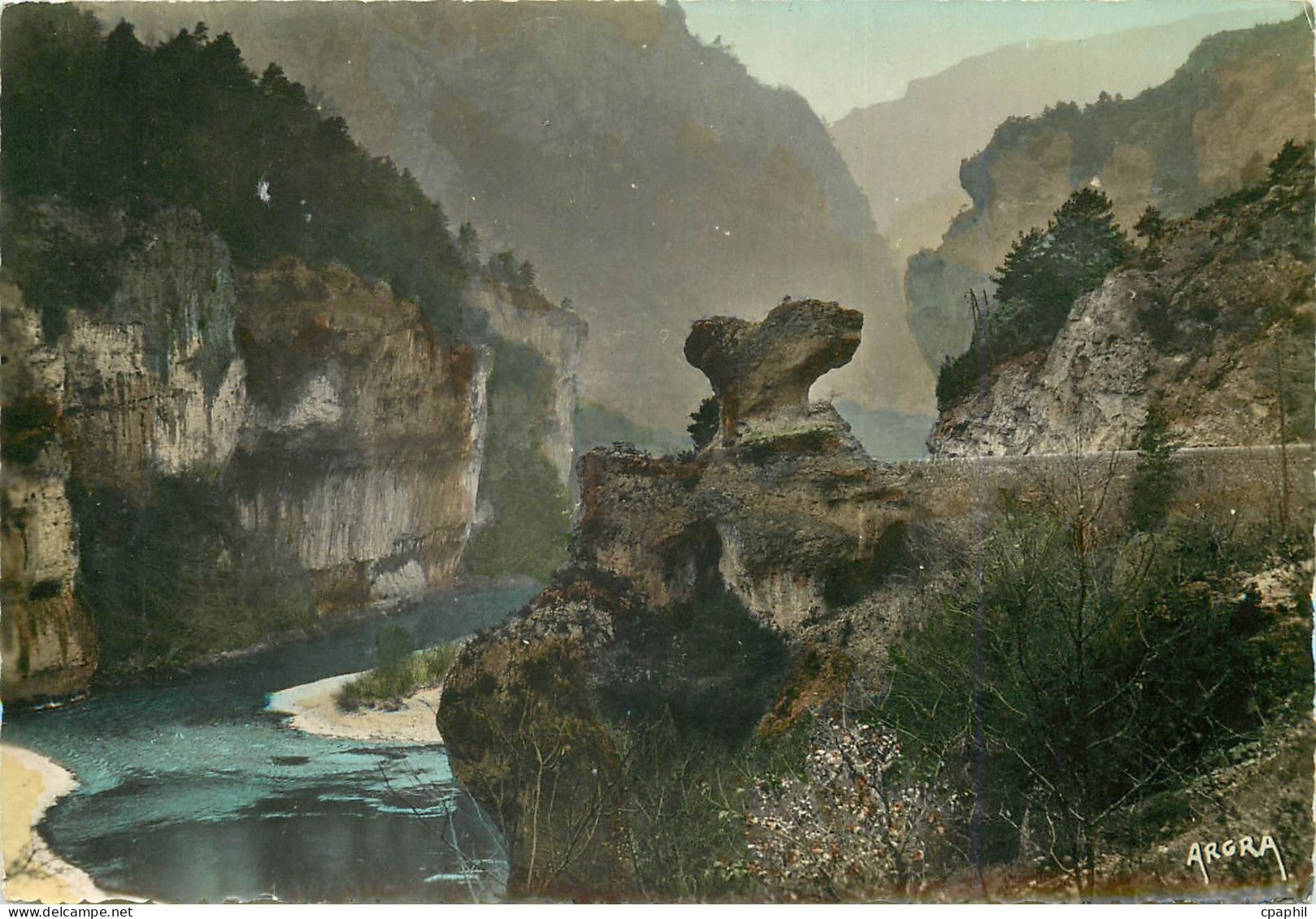CPM Les Gorges du Tarn Le Champignon