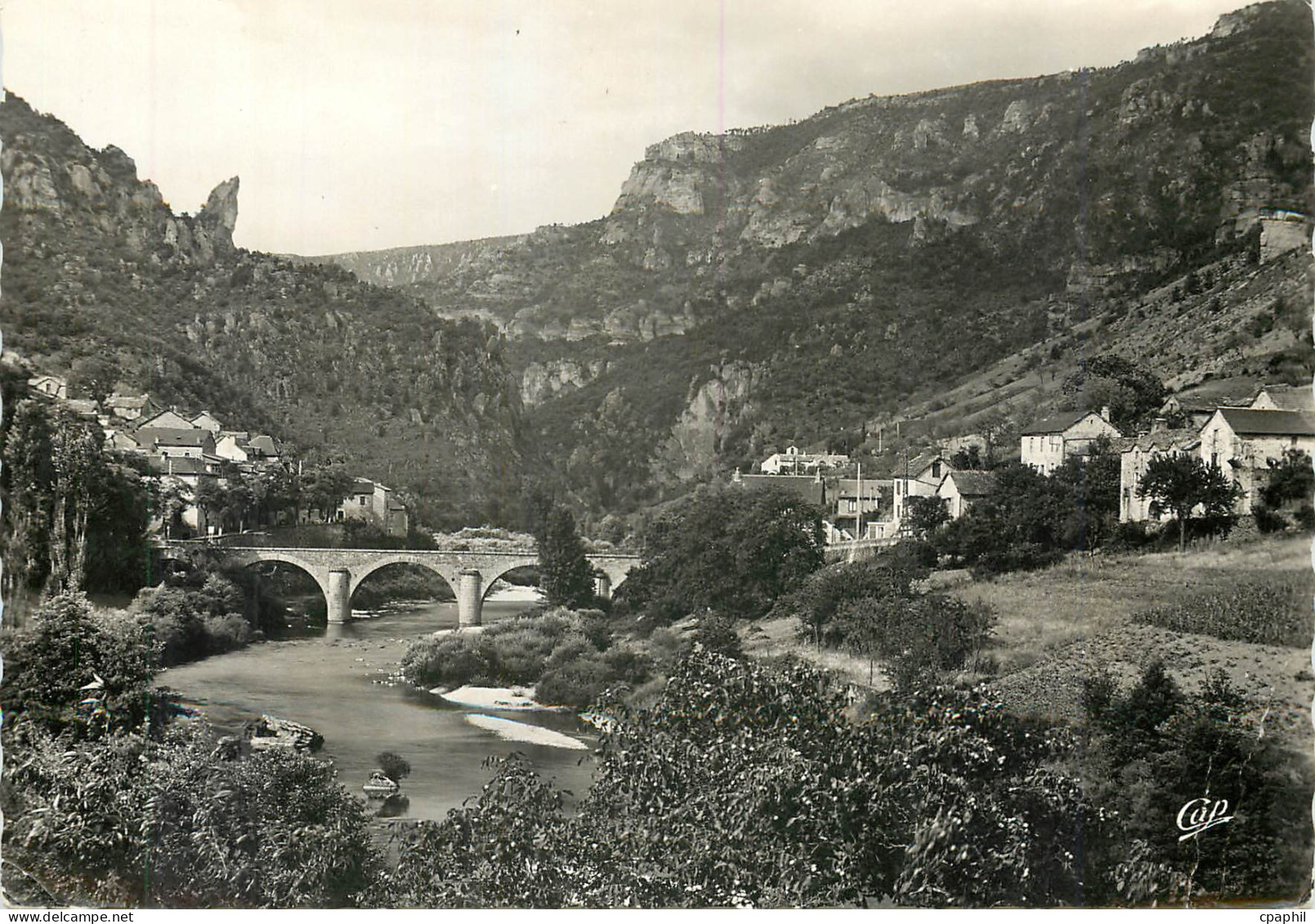 CPM Les Gorges du Tarn Les Vignes