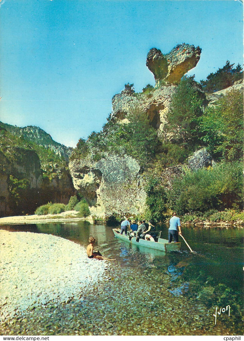 CPM Les Gorges du Tarn Lozere Le Champignon