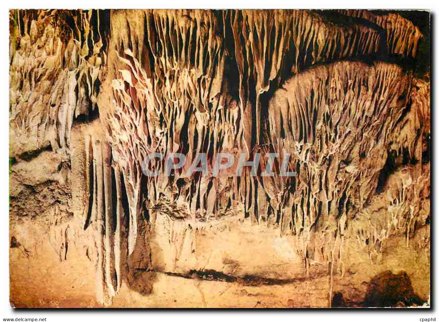 CPM Les Grottes d'Arcy sur Cure (Yinne) Les Draperies