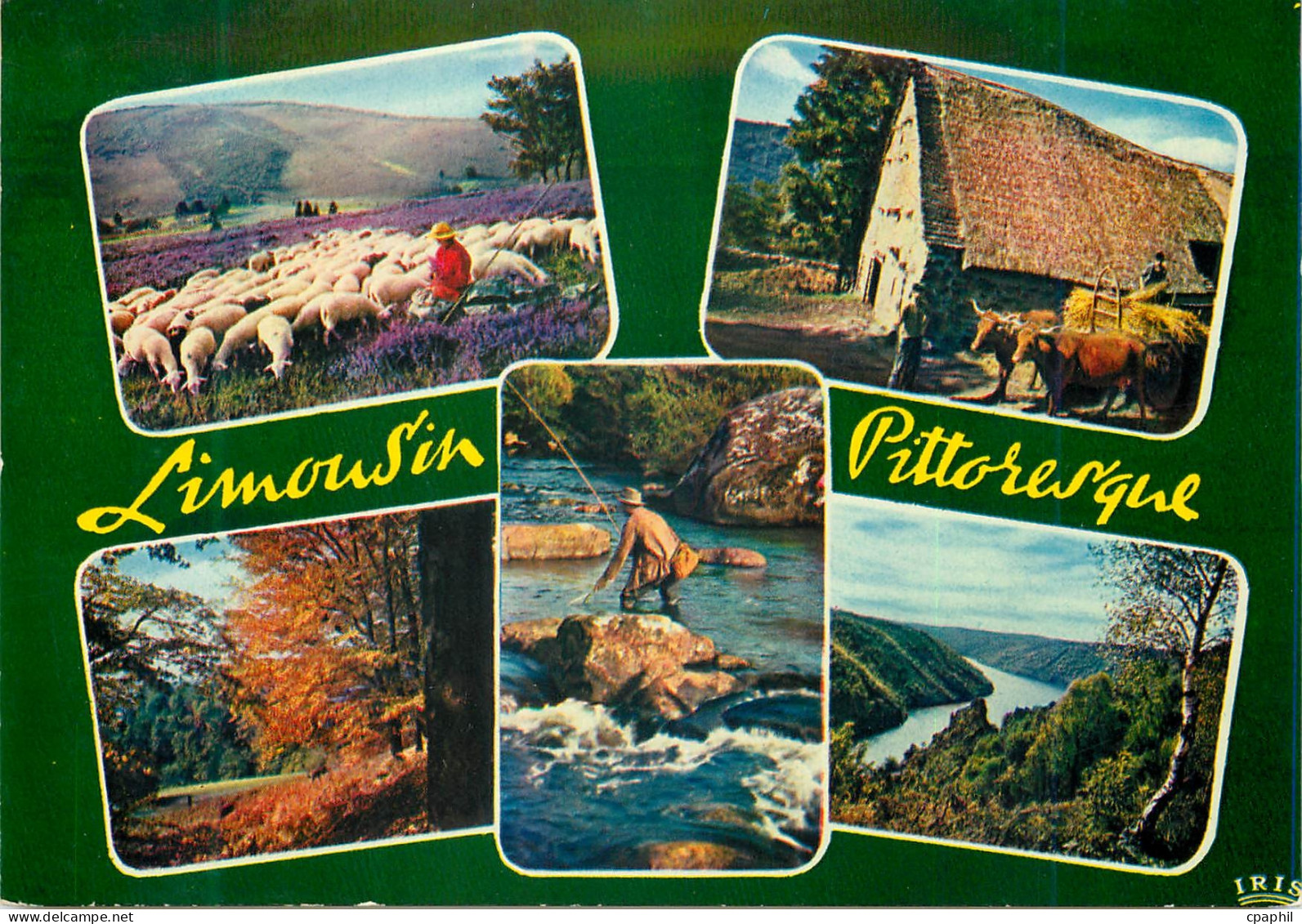 CPM Limousin Pittoresque Paysages du Limousin