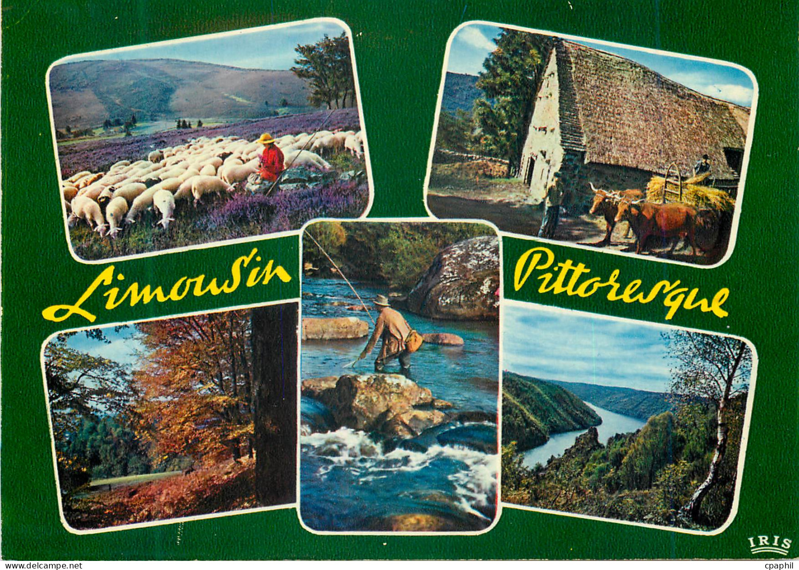 CPM Limousin Pittoresque Paysages du Limousin