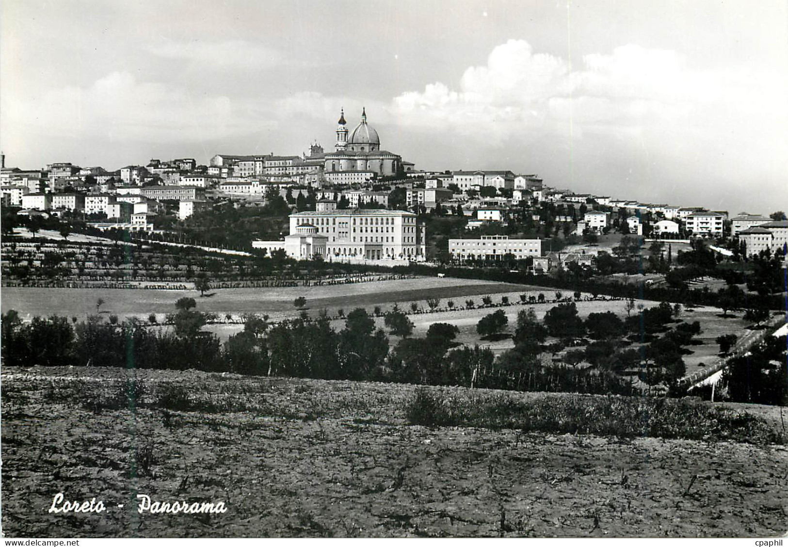 CPM Loreto Ancona - Panorama