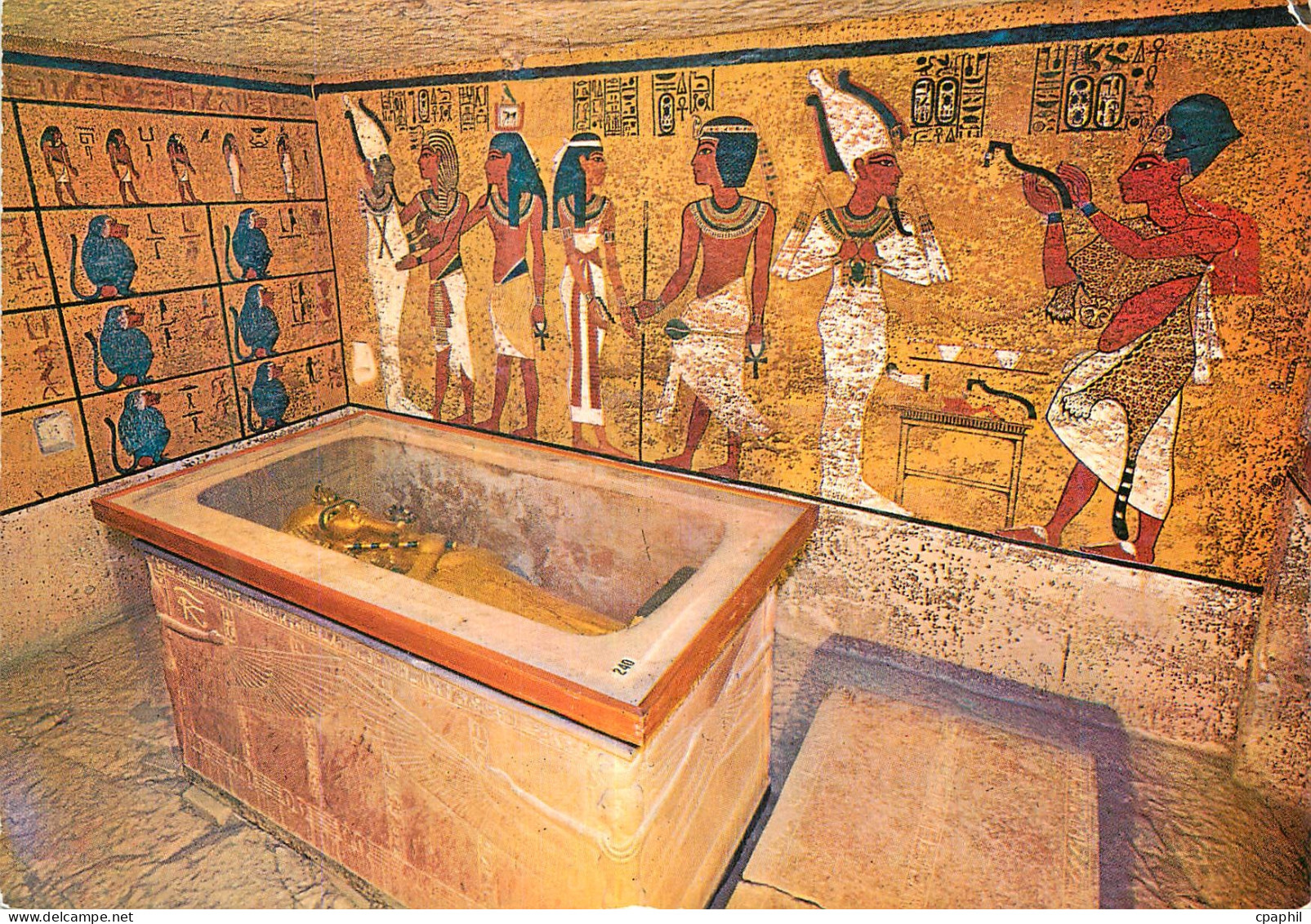 CPM Louxor Vallee des Rois Sarcophage dans la tombe de Tout Ankh Amon