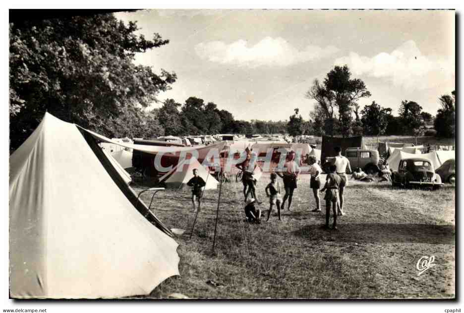 CPM Luc sur Mer Le Camping