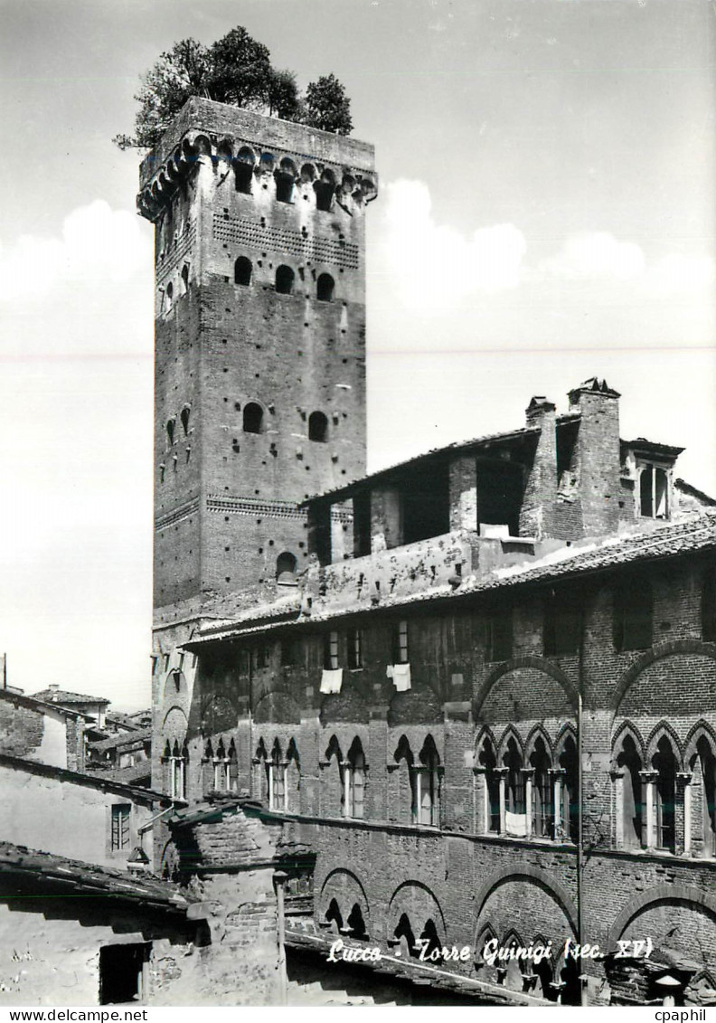CPM Lucca Torre Guinigi