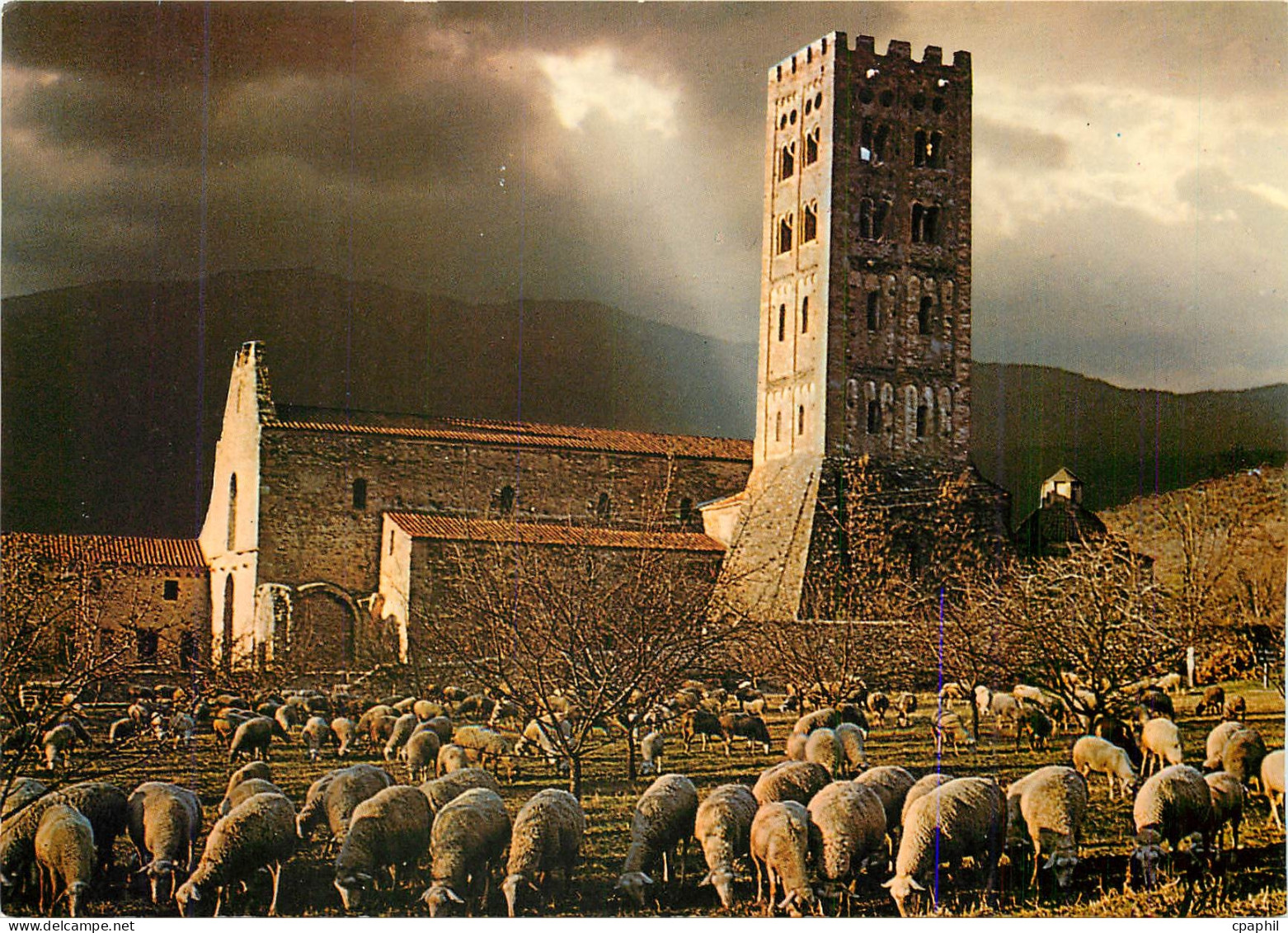 CPM Lumiere et Couleurs du Conflent Prades Abbaye de Saint Michel de Cuxa