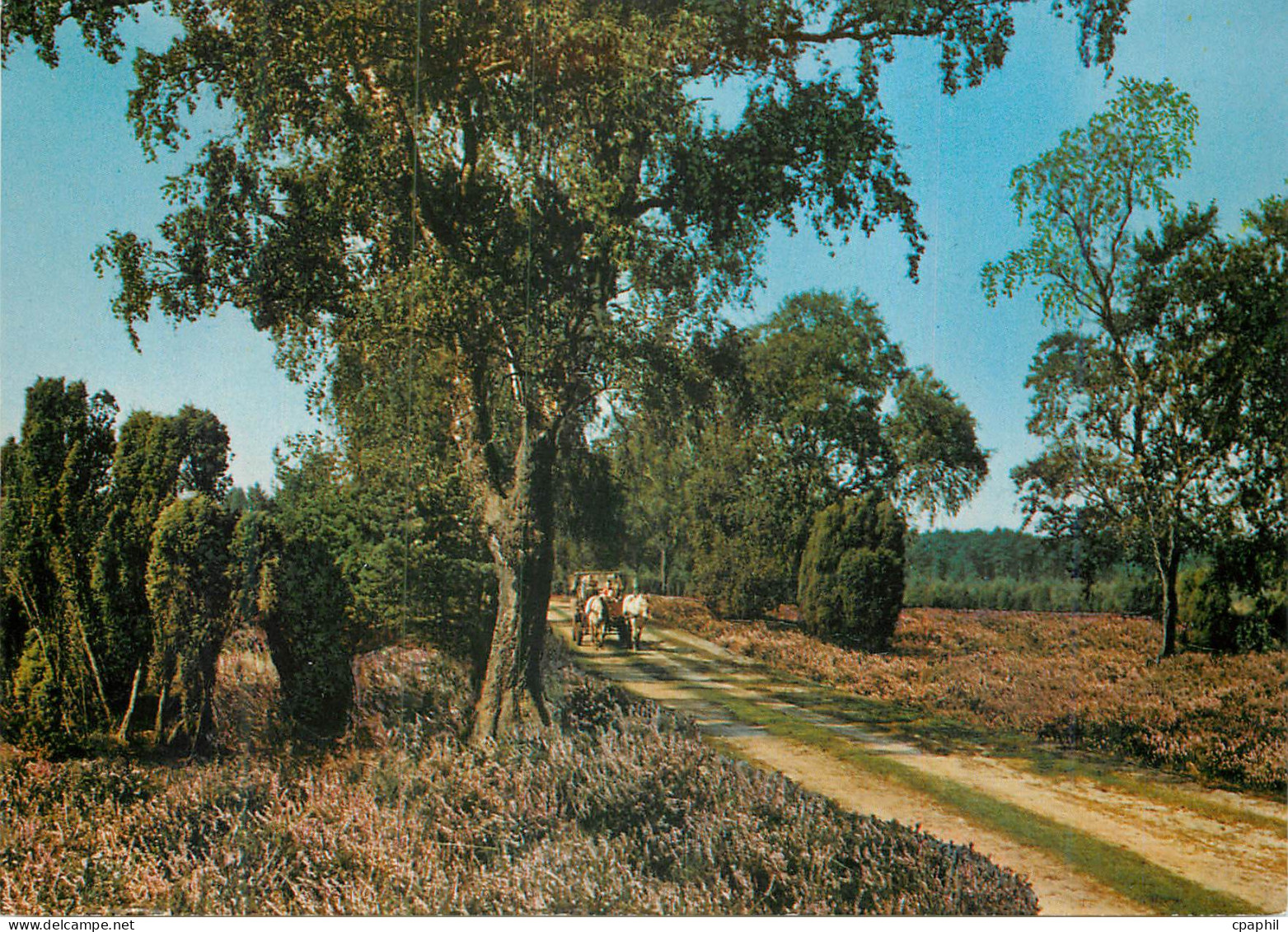 CPM Luneburger Heide