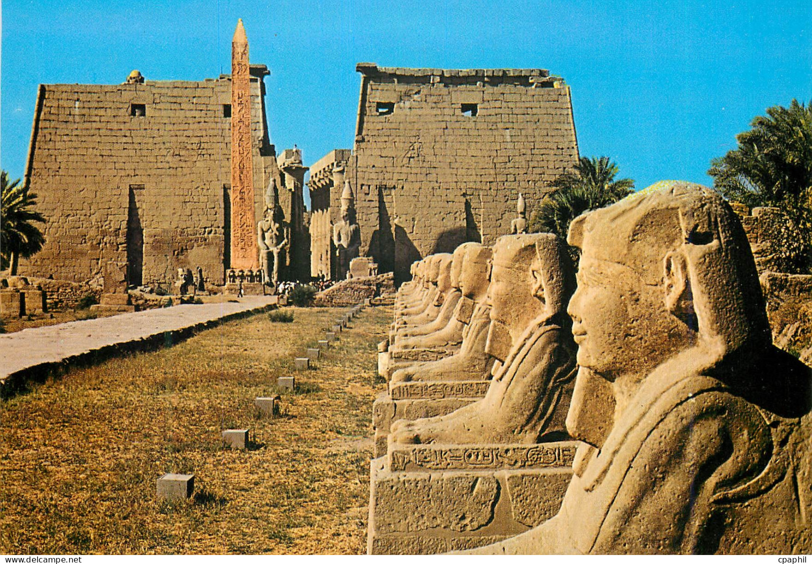 CPM Luxor Avenue des Sphinxes au Temple de Luxor