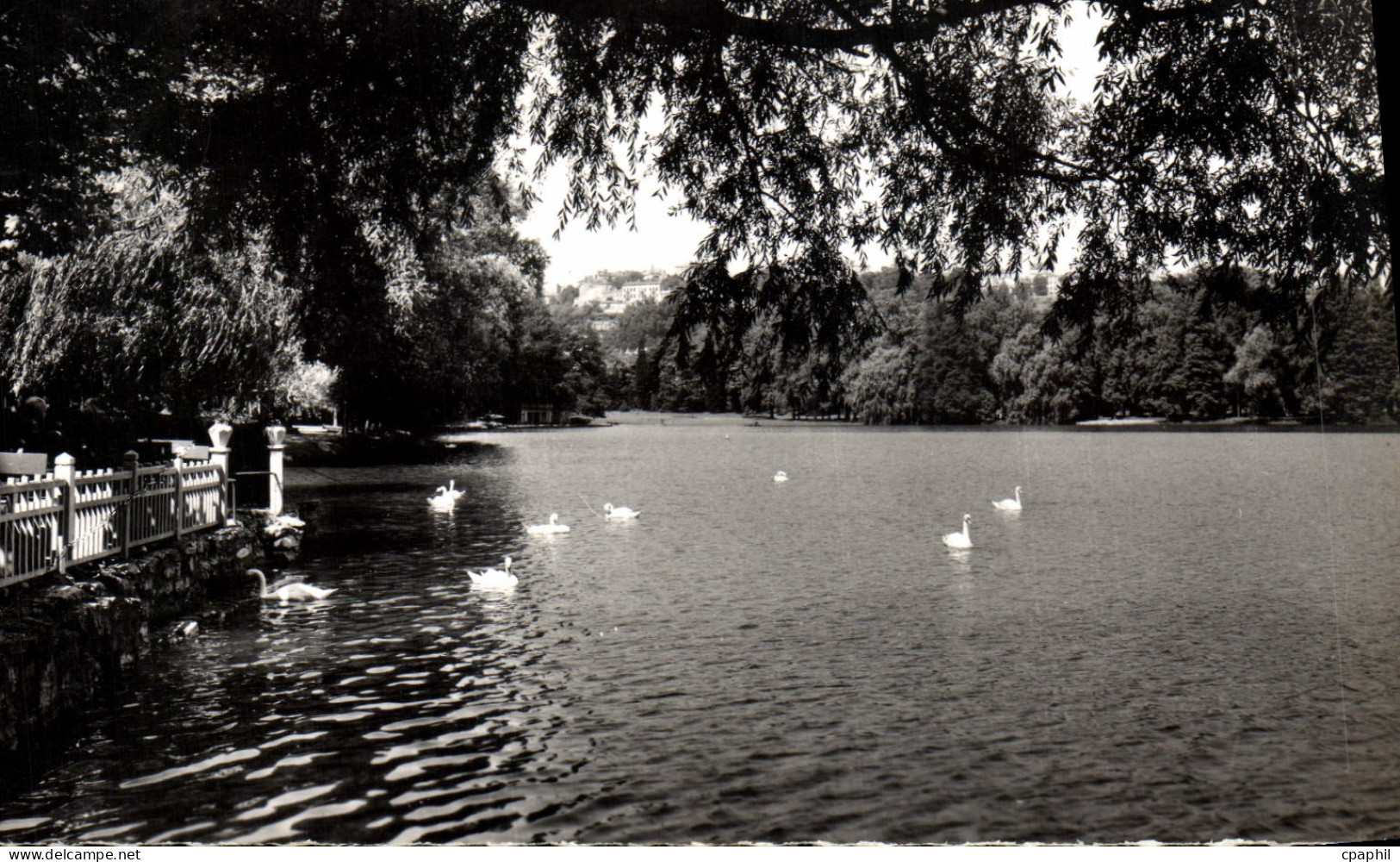 CPM Lyon Villeurbanne Le Lac Parc de la Tete d'or