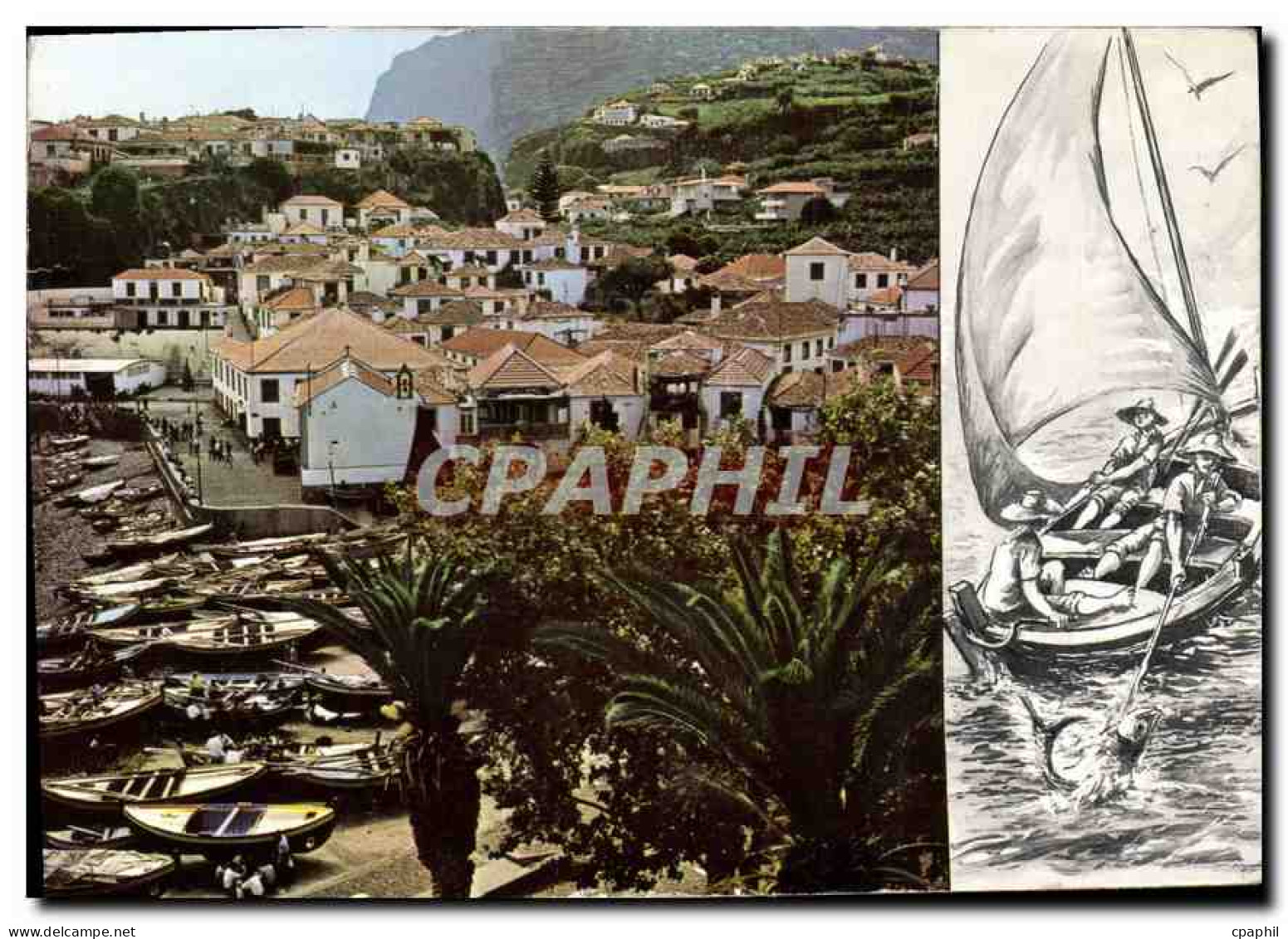 CPM Madeira Bateaux