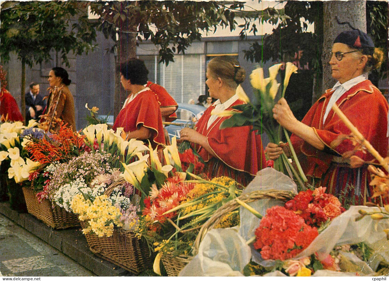 CPM Madeira Floristas