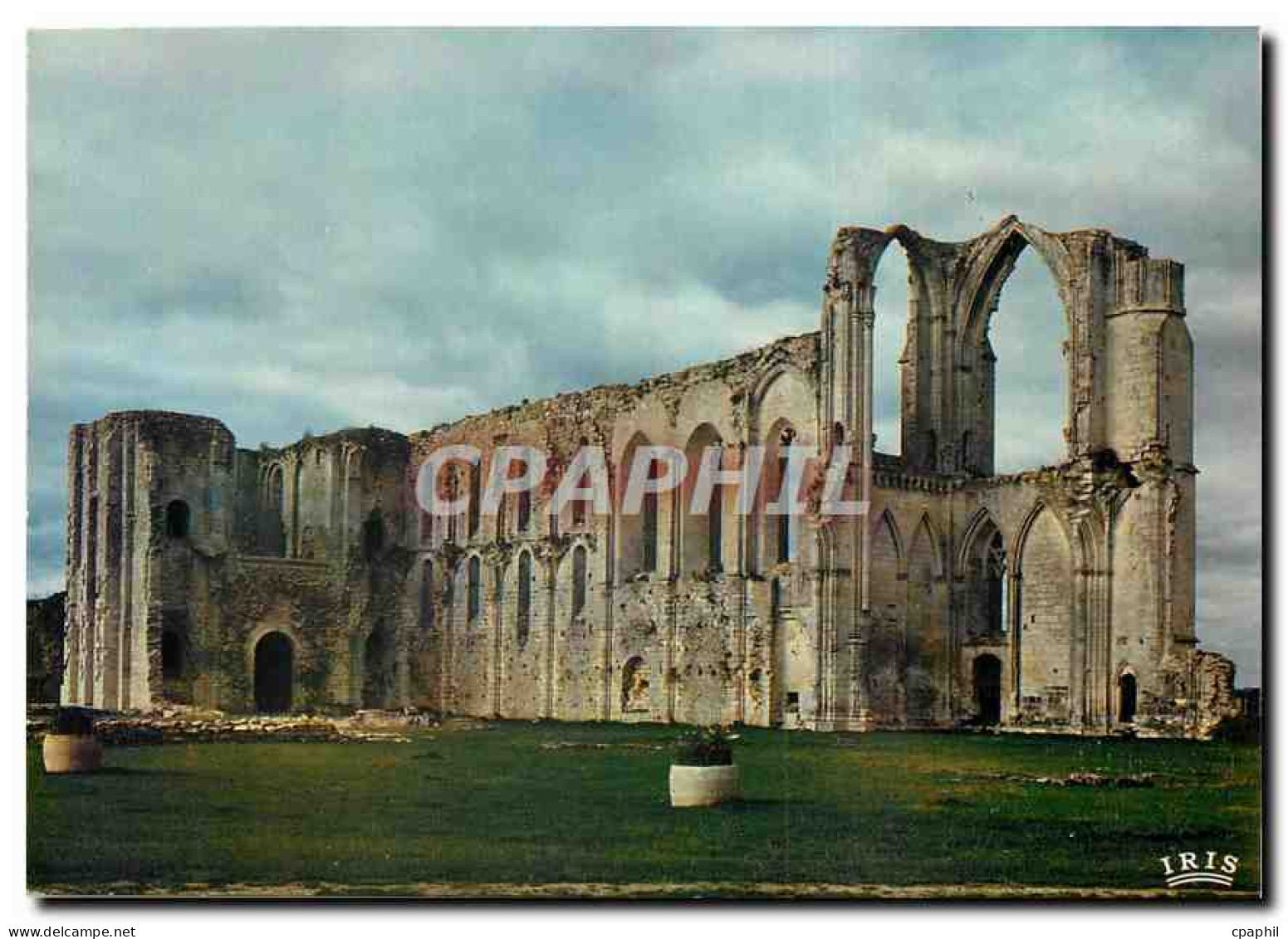 CPM Maillezais (Vendee) Abbaye Saint Pierre (XIe et XVe s)