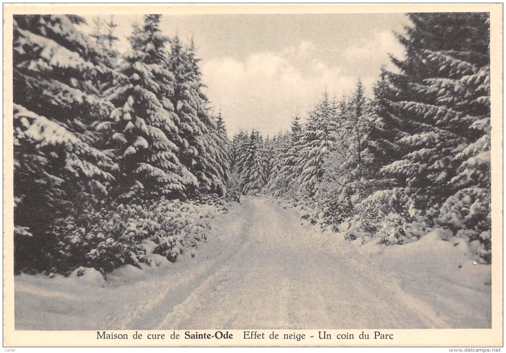 CPM - Maison de cure de SAINTE-ODE - Effet de neige - Un coin du Parc