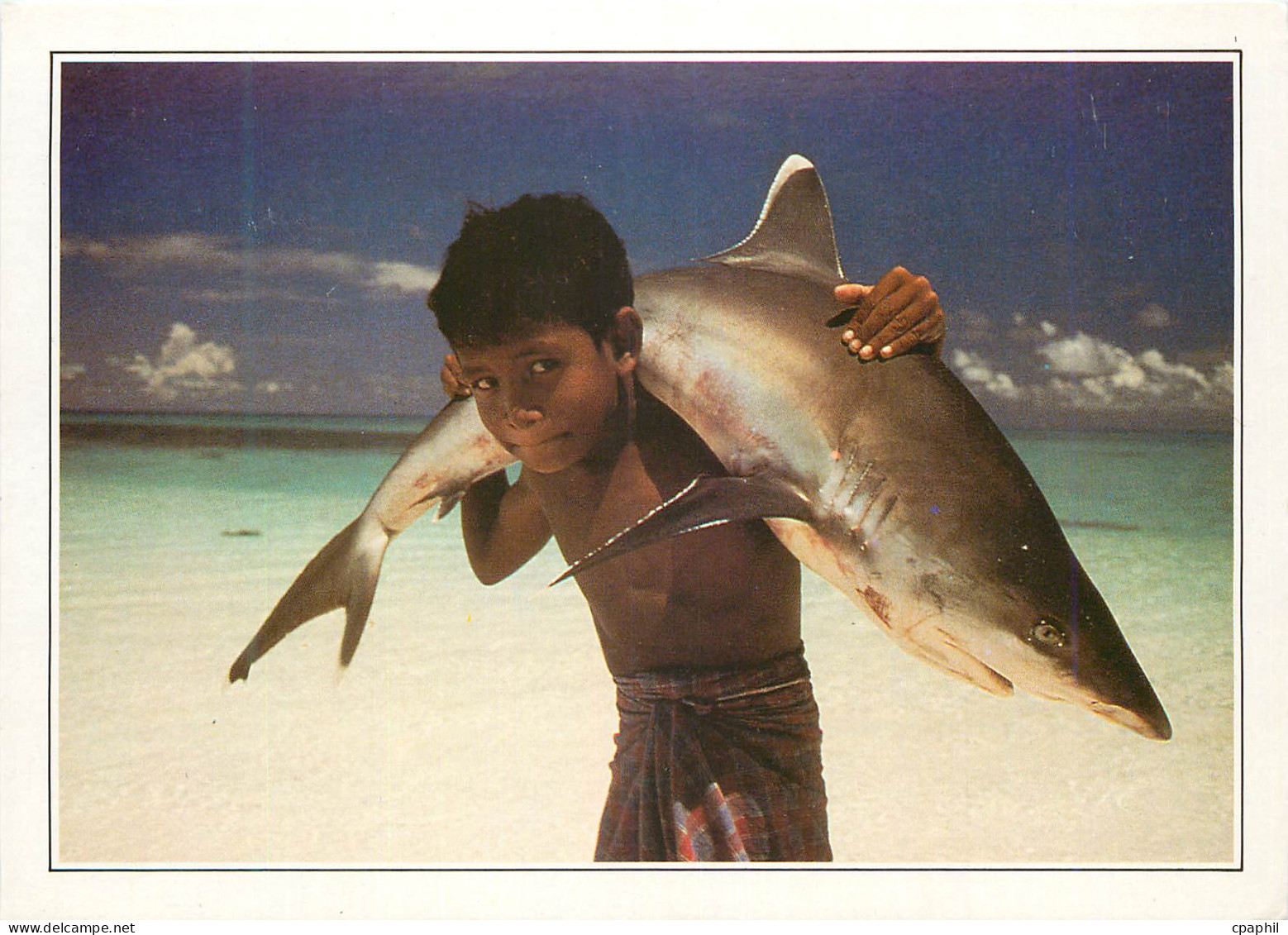 CPM Maldives Island Requin a pointe blanche