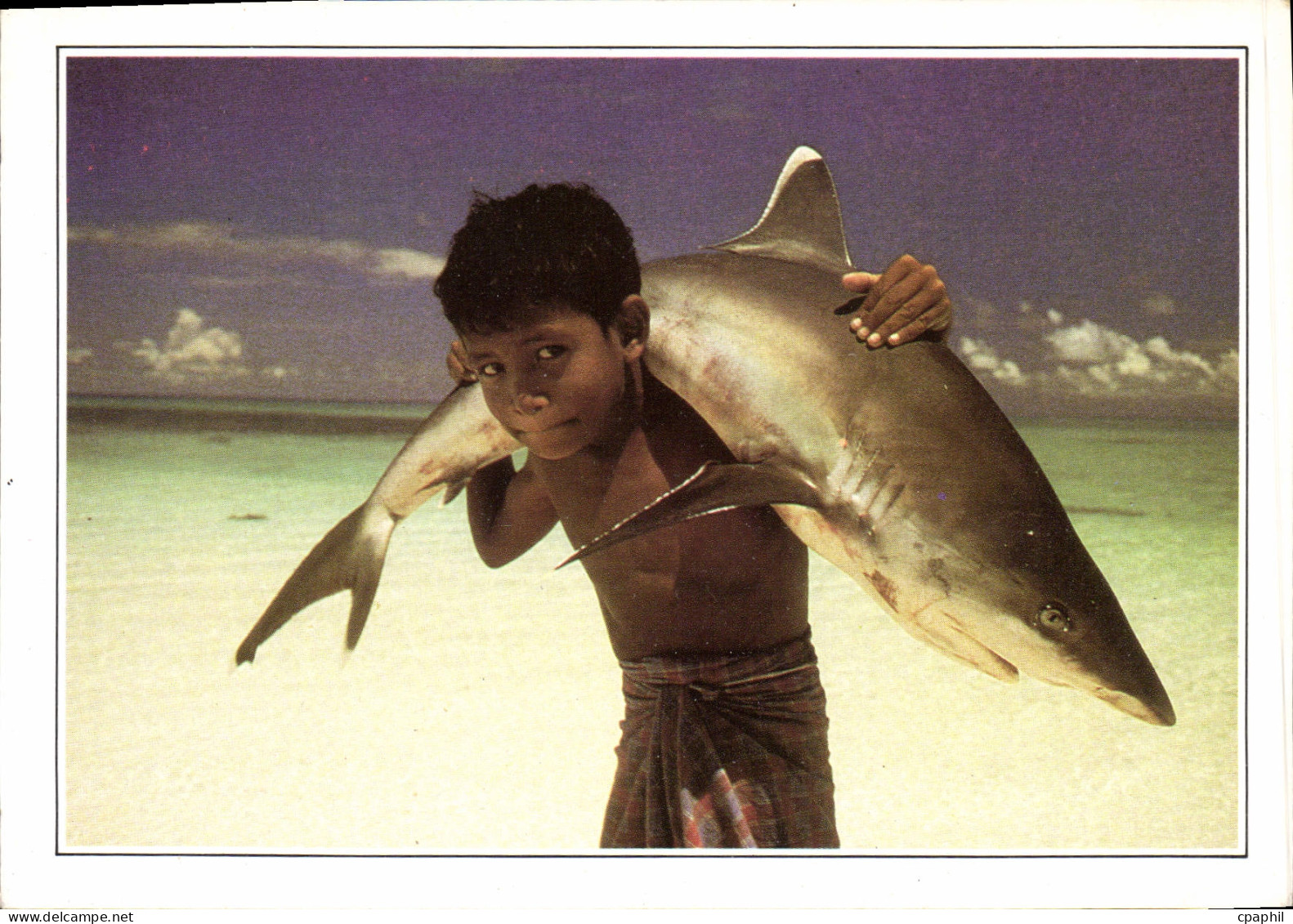 CPM Maldives Islands Maldives Requin a pointe blanche