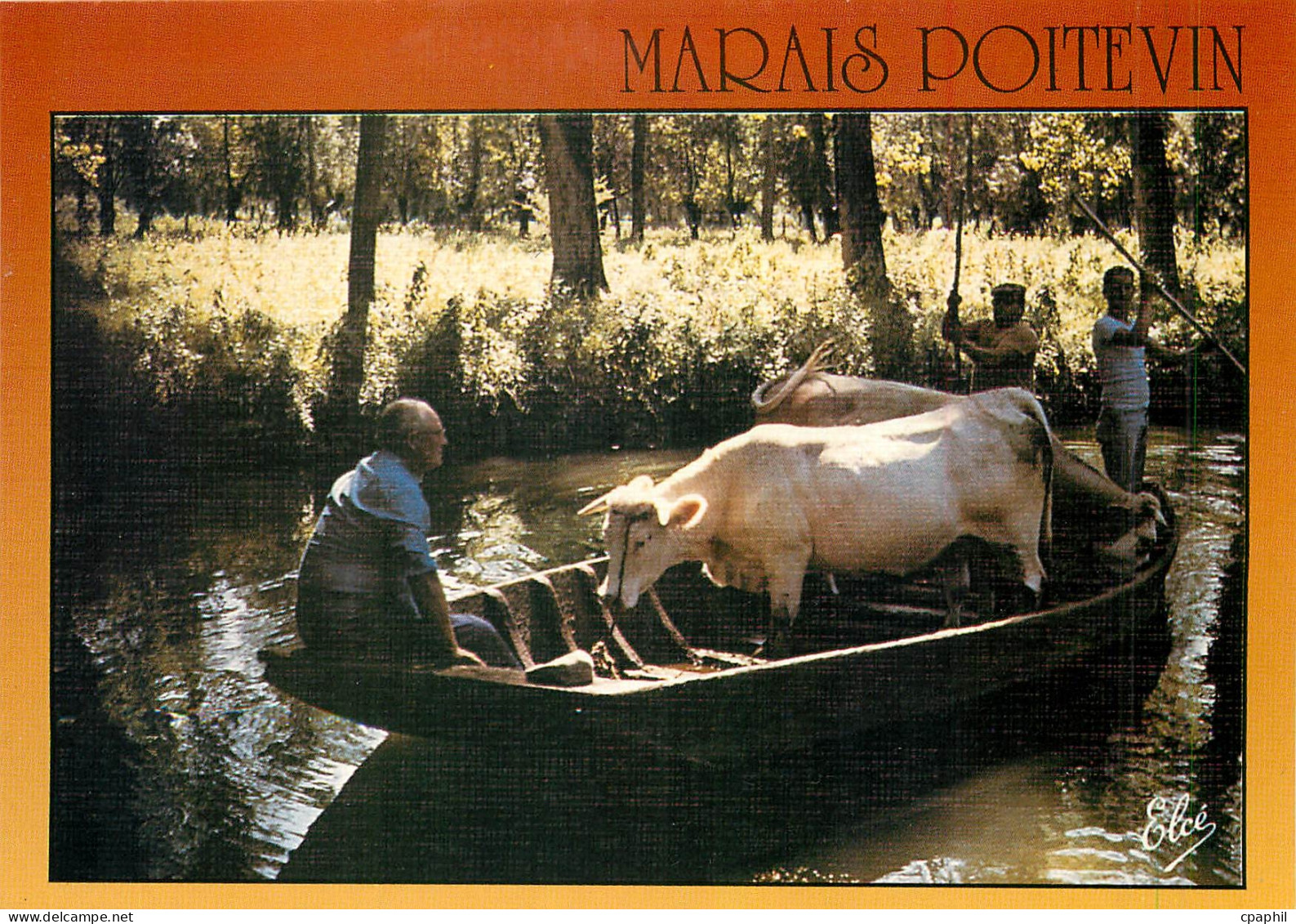 CPM Marais Poitevin