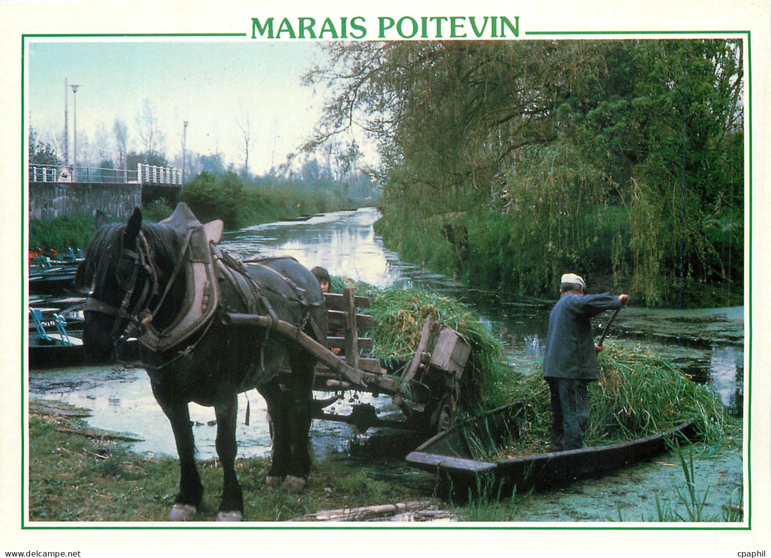CPM Marais Poitevin Situe de part et d'autre