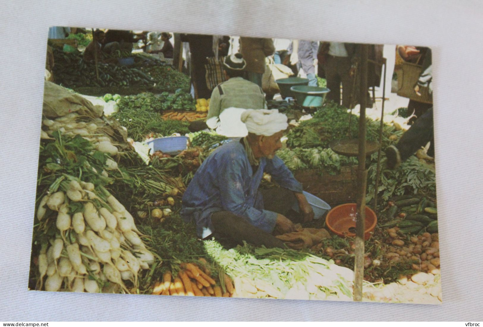 Cpm, Maroc typique, souk, vendeurs de légumes, Maroc