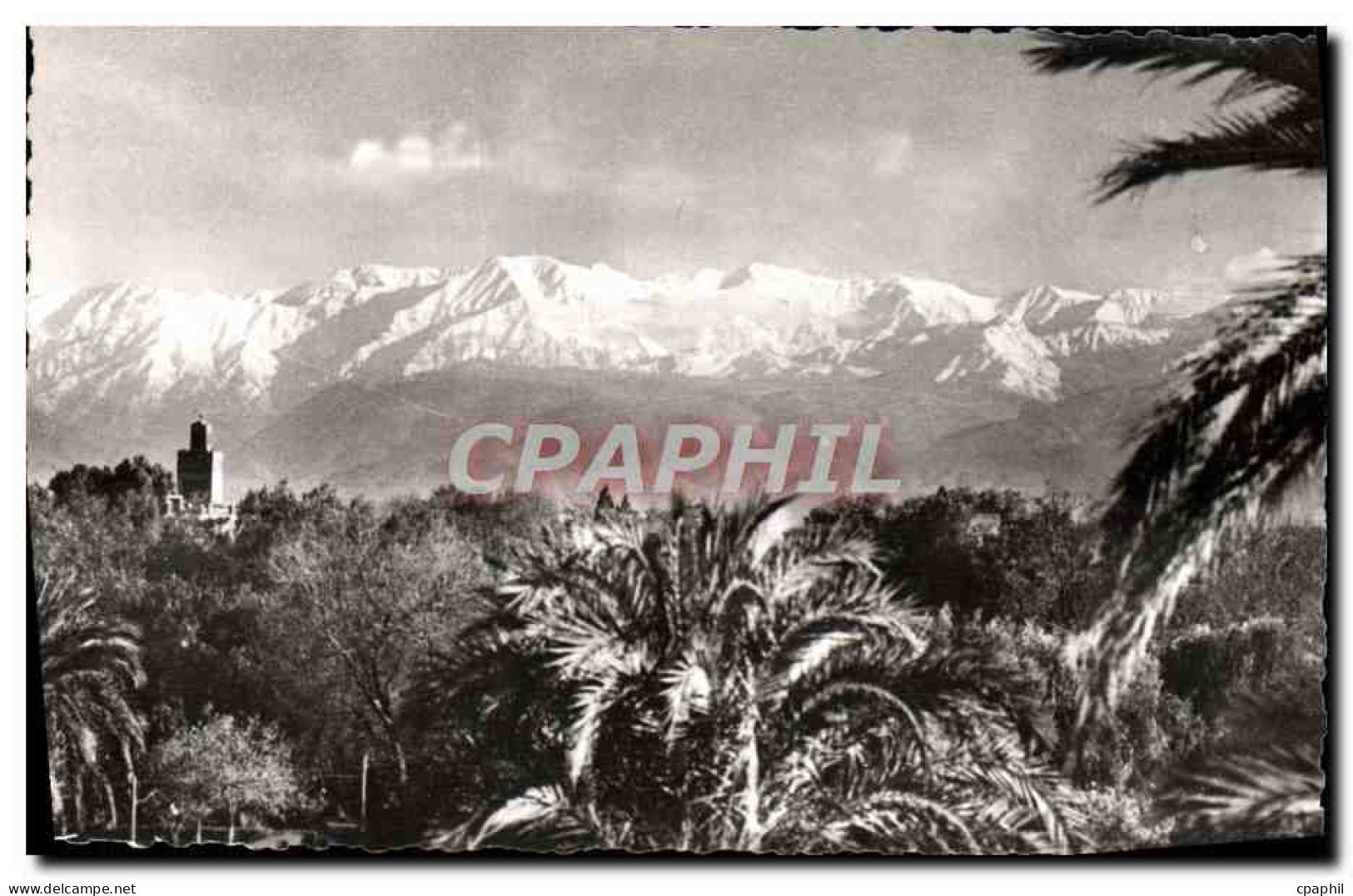 CPM Marrakech L'Atlas Vu de Marrakech