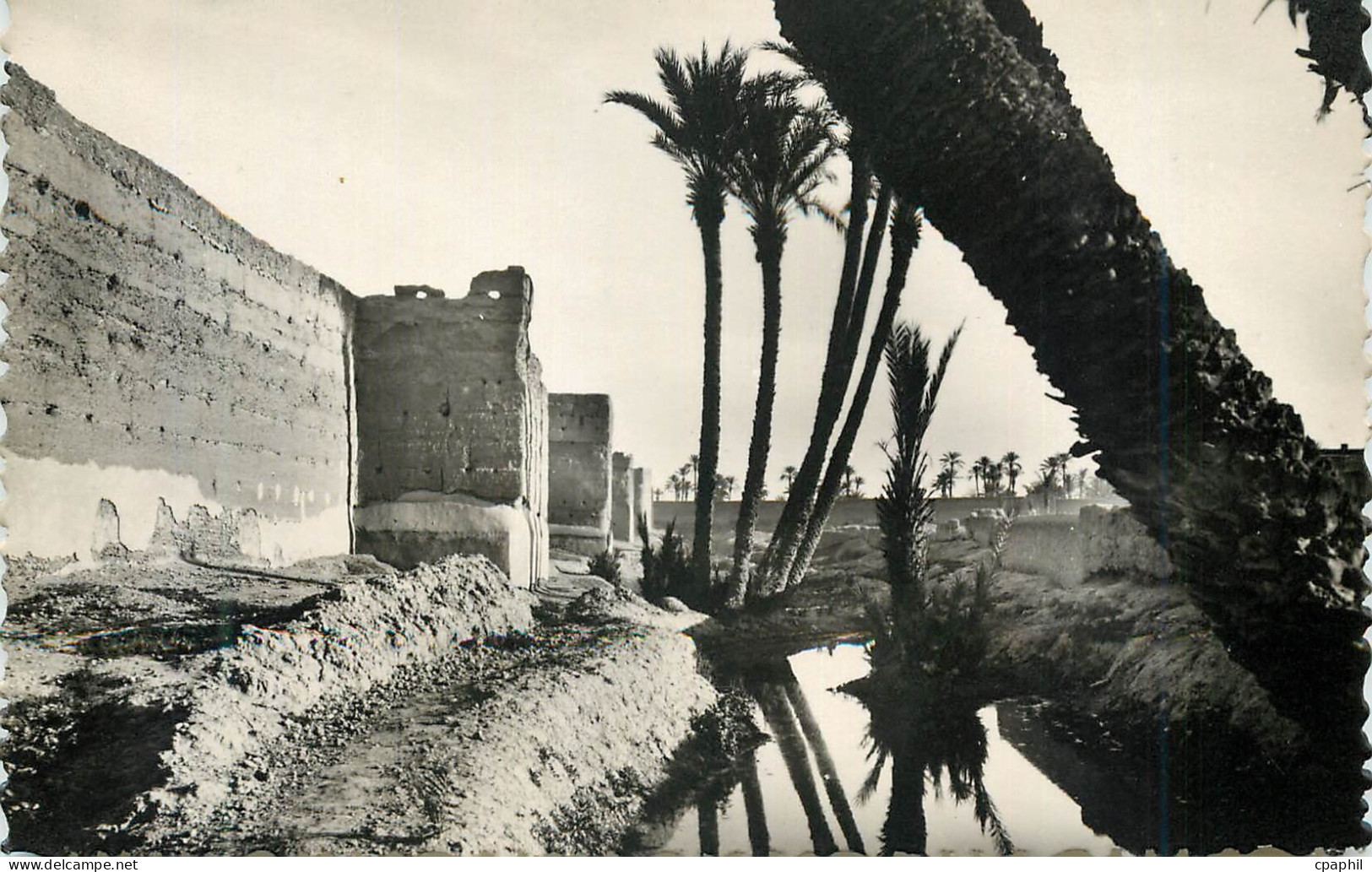 CPM Marrakech remparts palmeraie