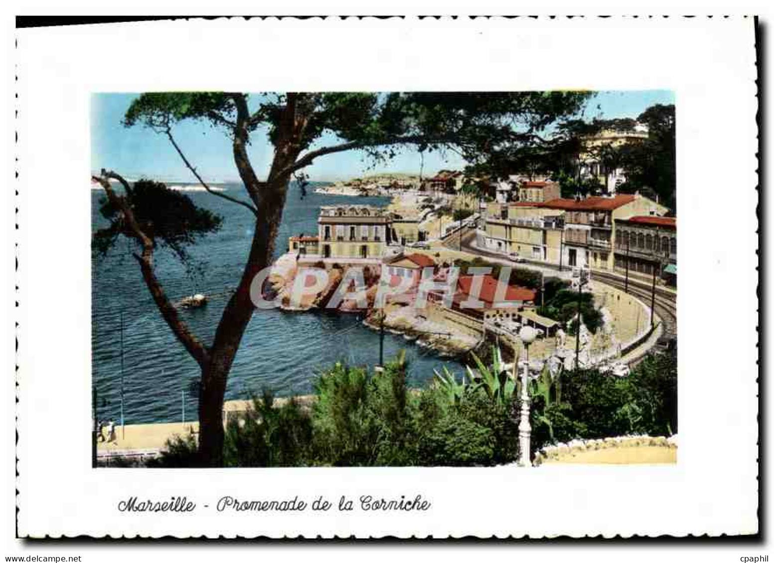 CPM Marseille Promenade de la Corniche